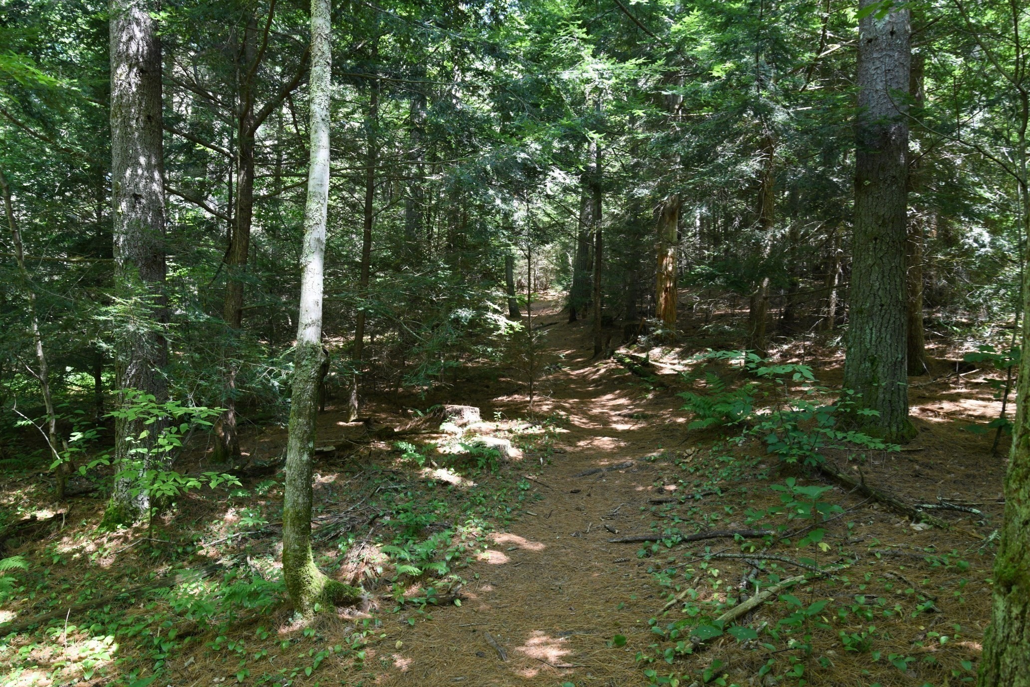 0 Amherst Rd, Pelham, MA 01002 - Image 31