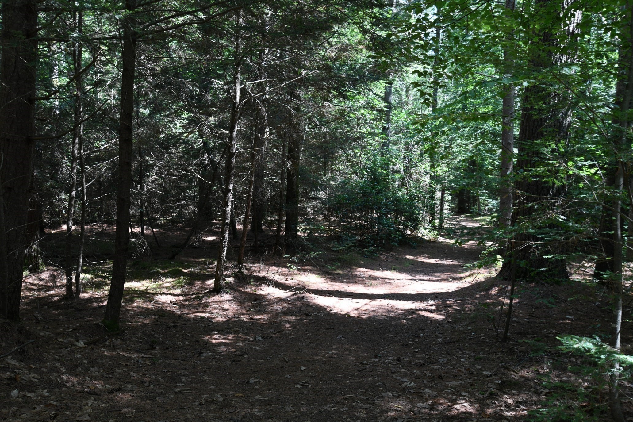 0 Amherst Rd, Pelham, MA 01002 - Image 32