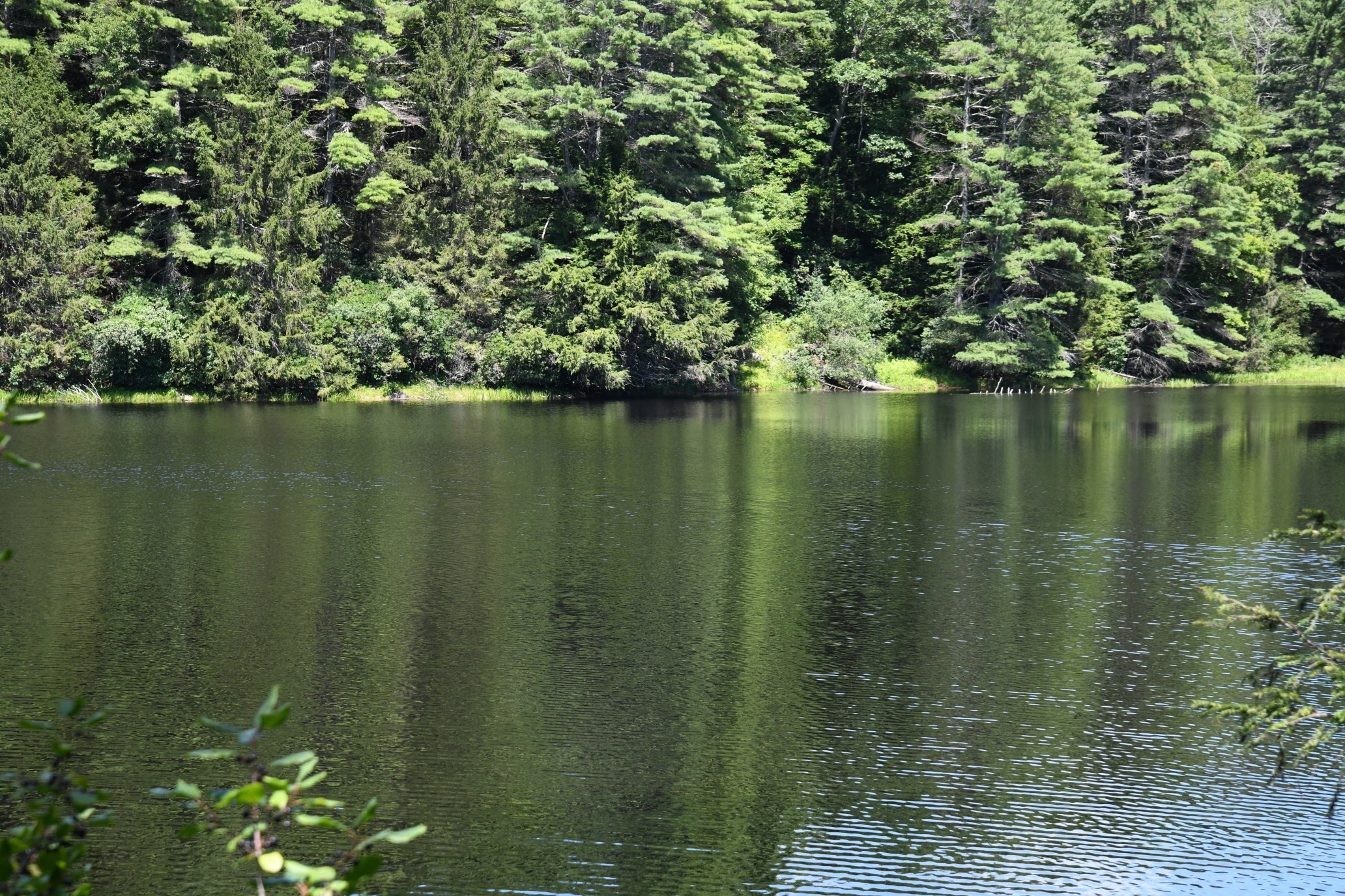 0 Amherst Rd, Pelham, MA 01002 - Image 5