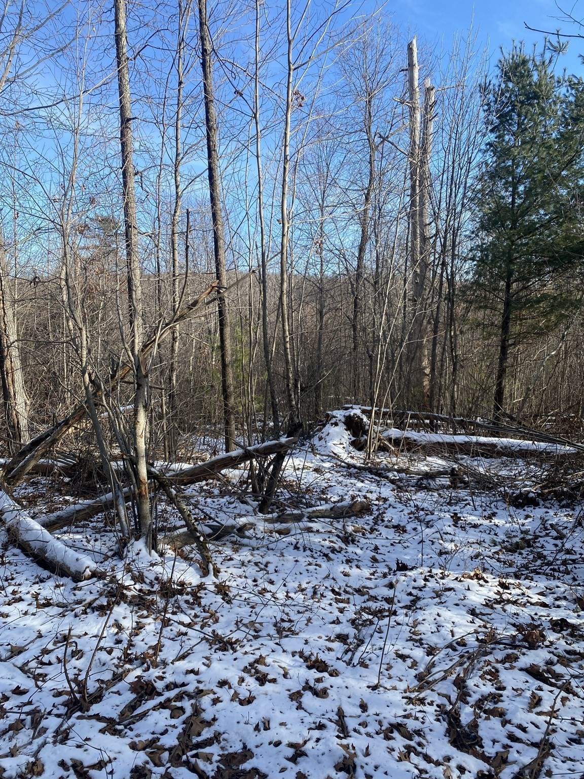 121 Sturbridge Rd, Brimfield, MA 01010 - Image 2