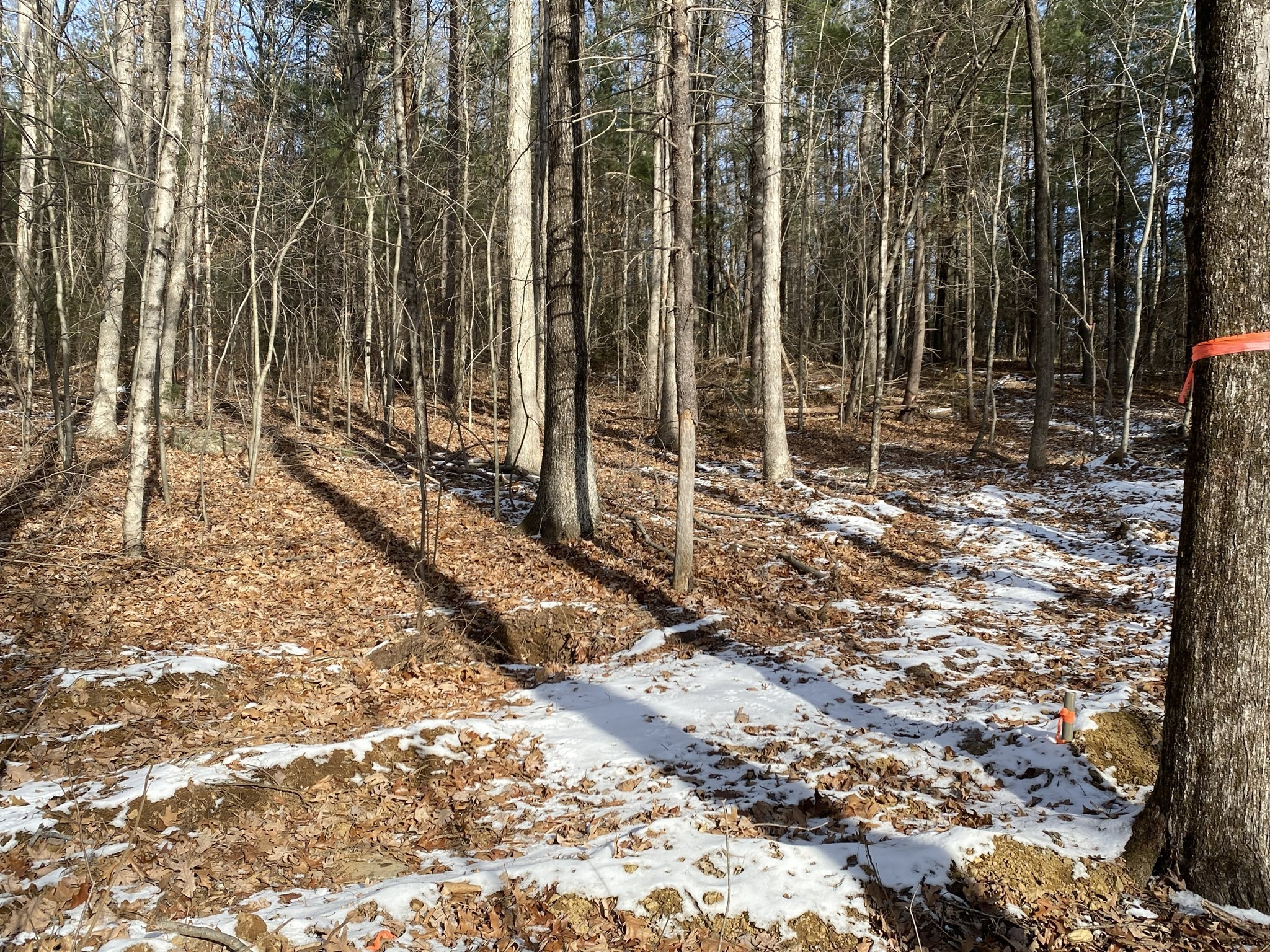 121 Sturbridge Rd, Brimfield, MA 01010 - Image 11