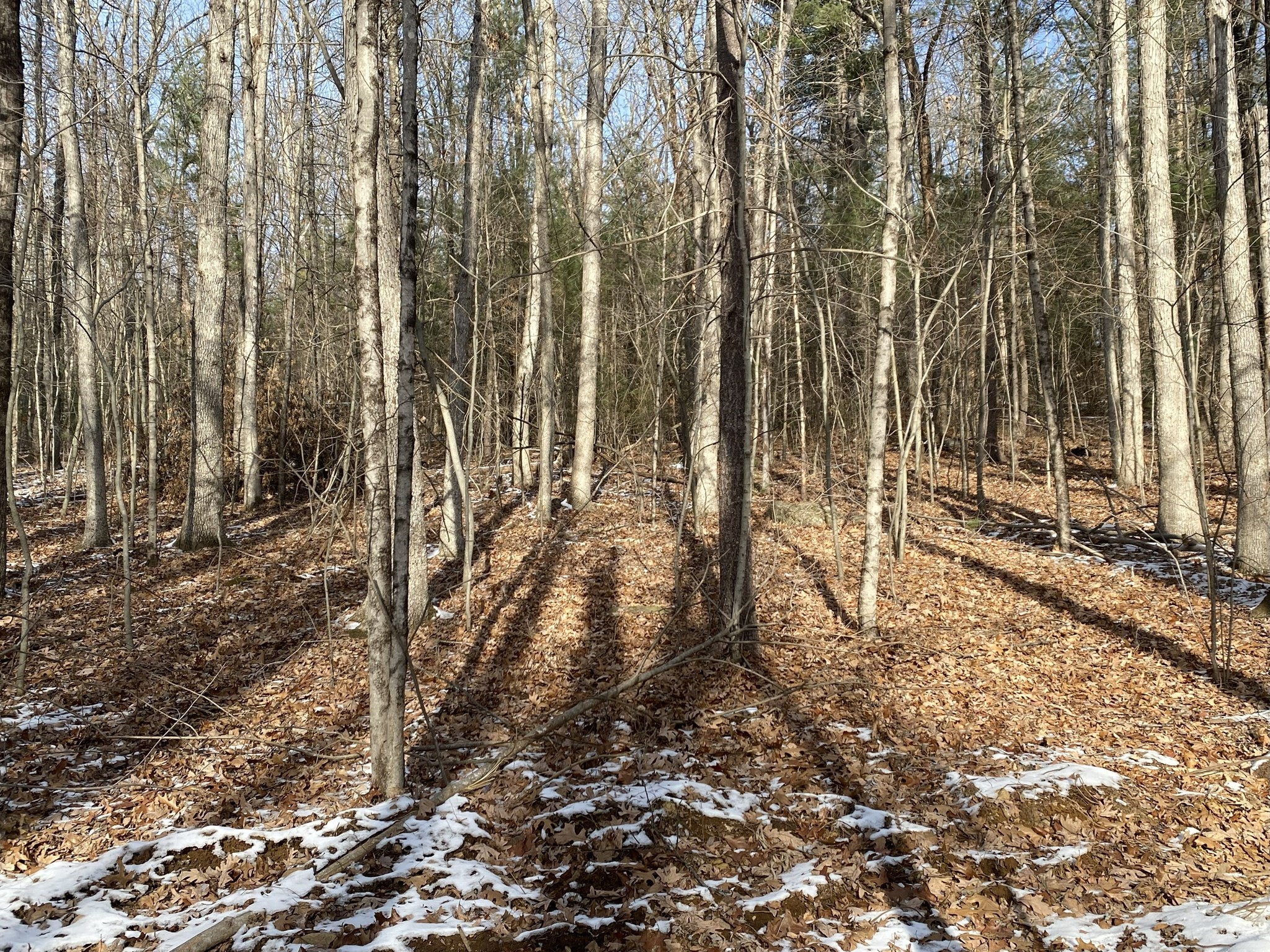 121 Sturbridge Rd, Brimfield, MA 01010 - Image 12