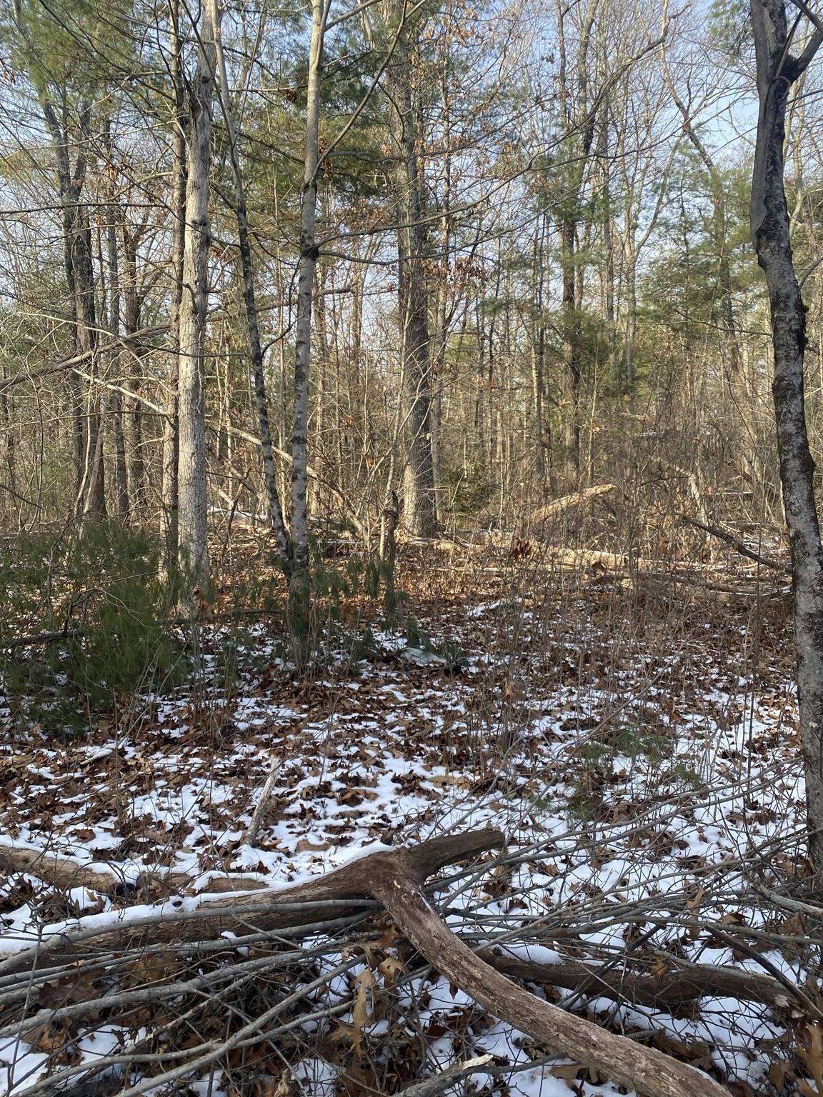 121 Sturbridge Rd, Brimfield, MA 01010 - Image 3