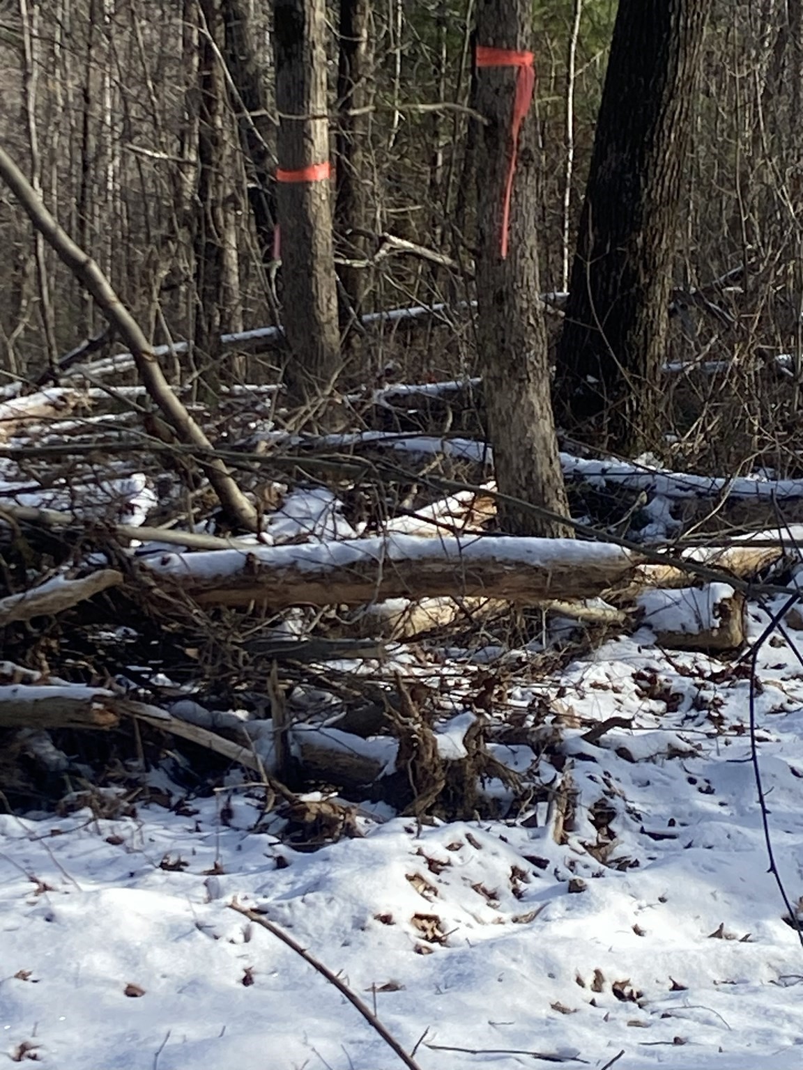 121 Sturbridge Rd, Brimfield, MA 01010 - Image 4