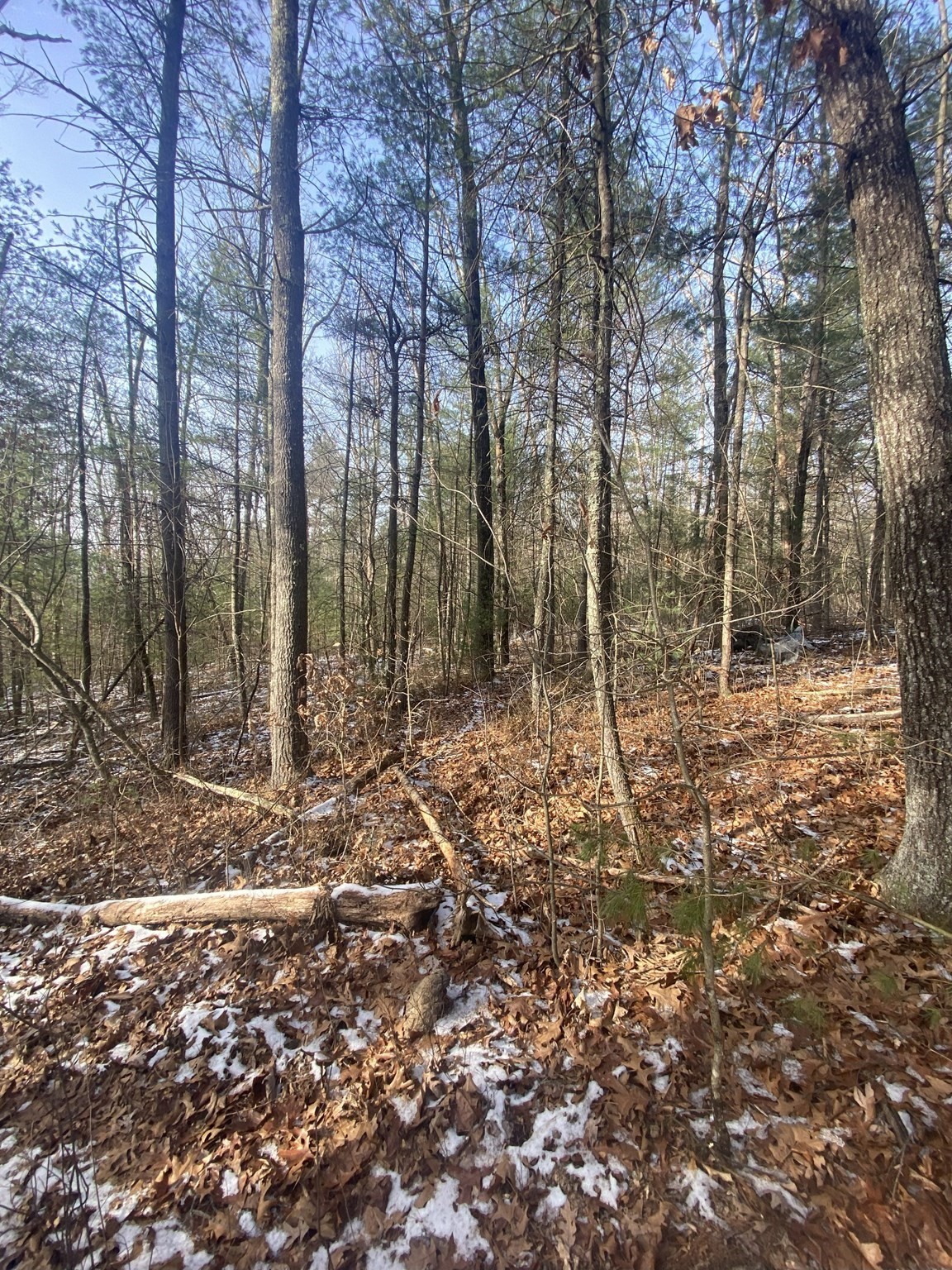 121 Sturbridge Rd, Brimfield, MA 01010 - Image 5