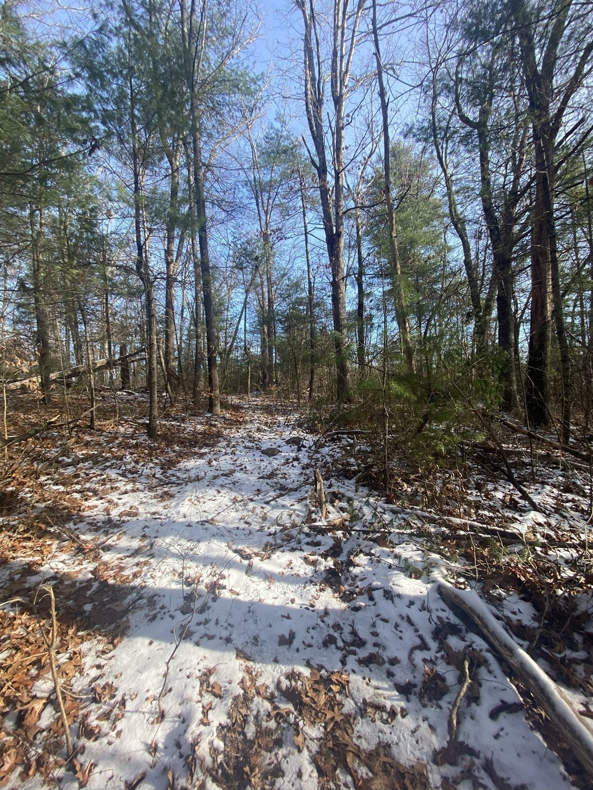 121 Sturbridge Rd, Brimfield, MA 01010 - Image 6