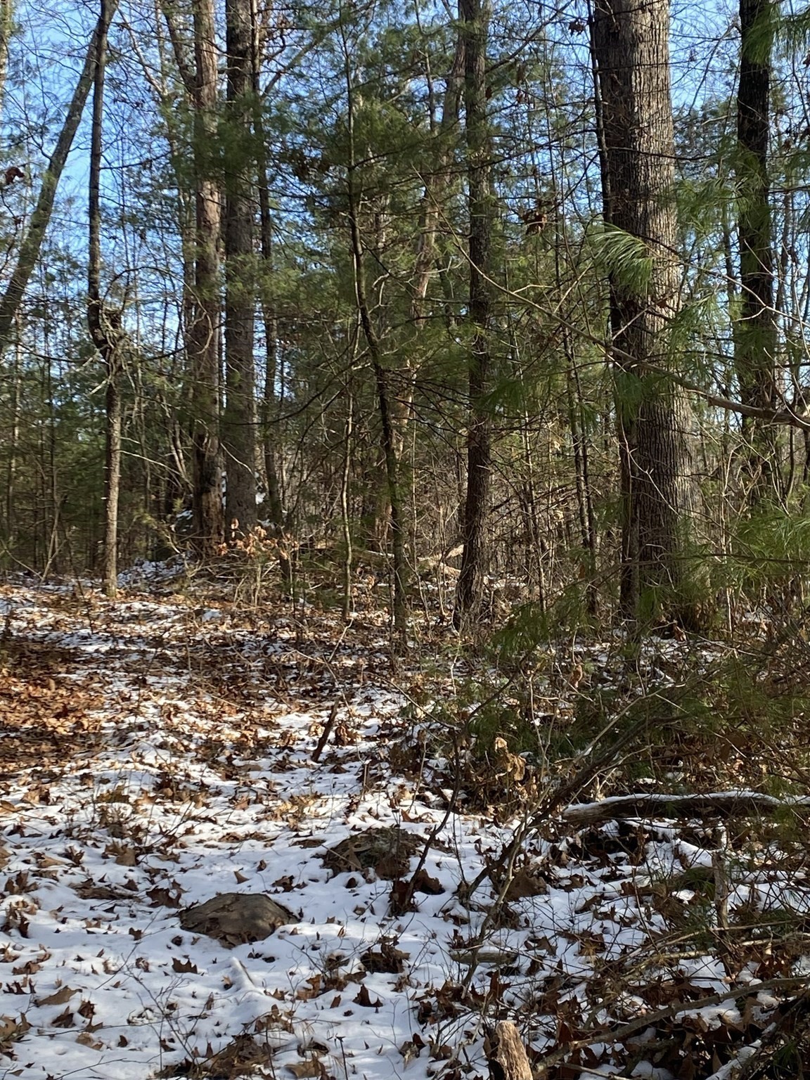 121 Sturbridge Rd, Brimfield, MA 01010 - Image 7