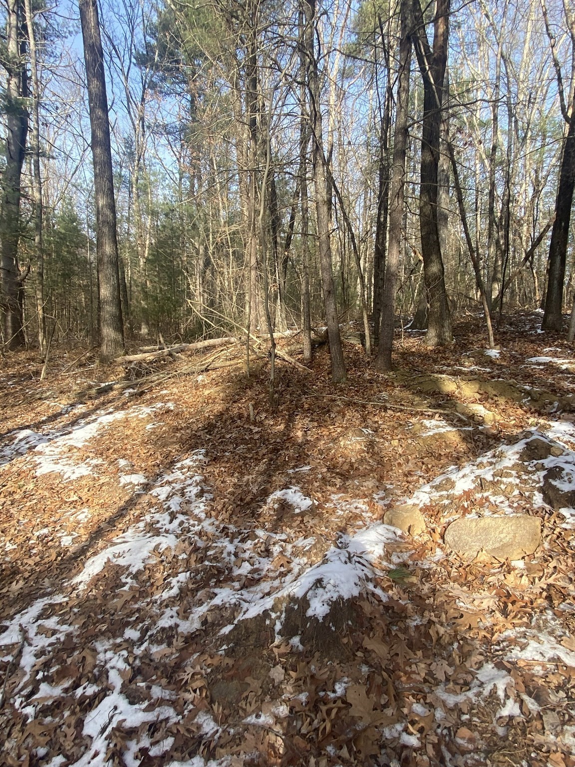 121 Sturbridge Rd, Brimfield, MA 01010 - Image 8