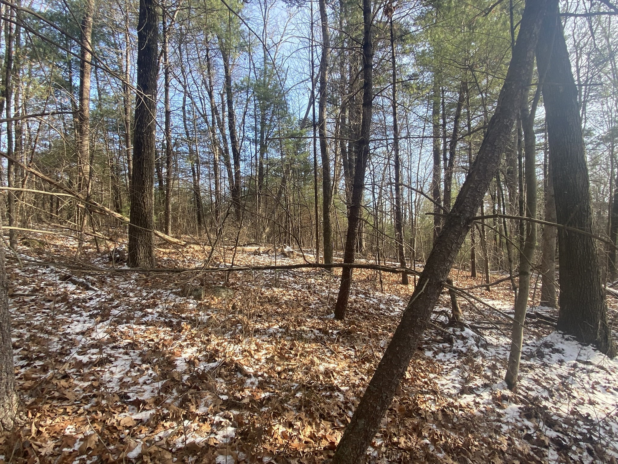 121 Sturbridge Rd, Brimfield, MA 01010 - Image 9