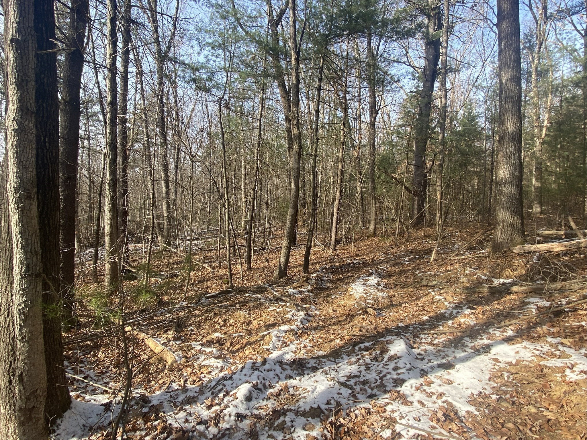 121 Sturbridge Rd, Brimfield, MA 01010 - Image 10