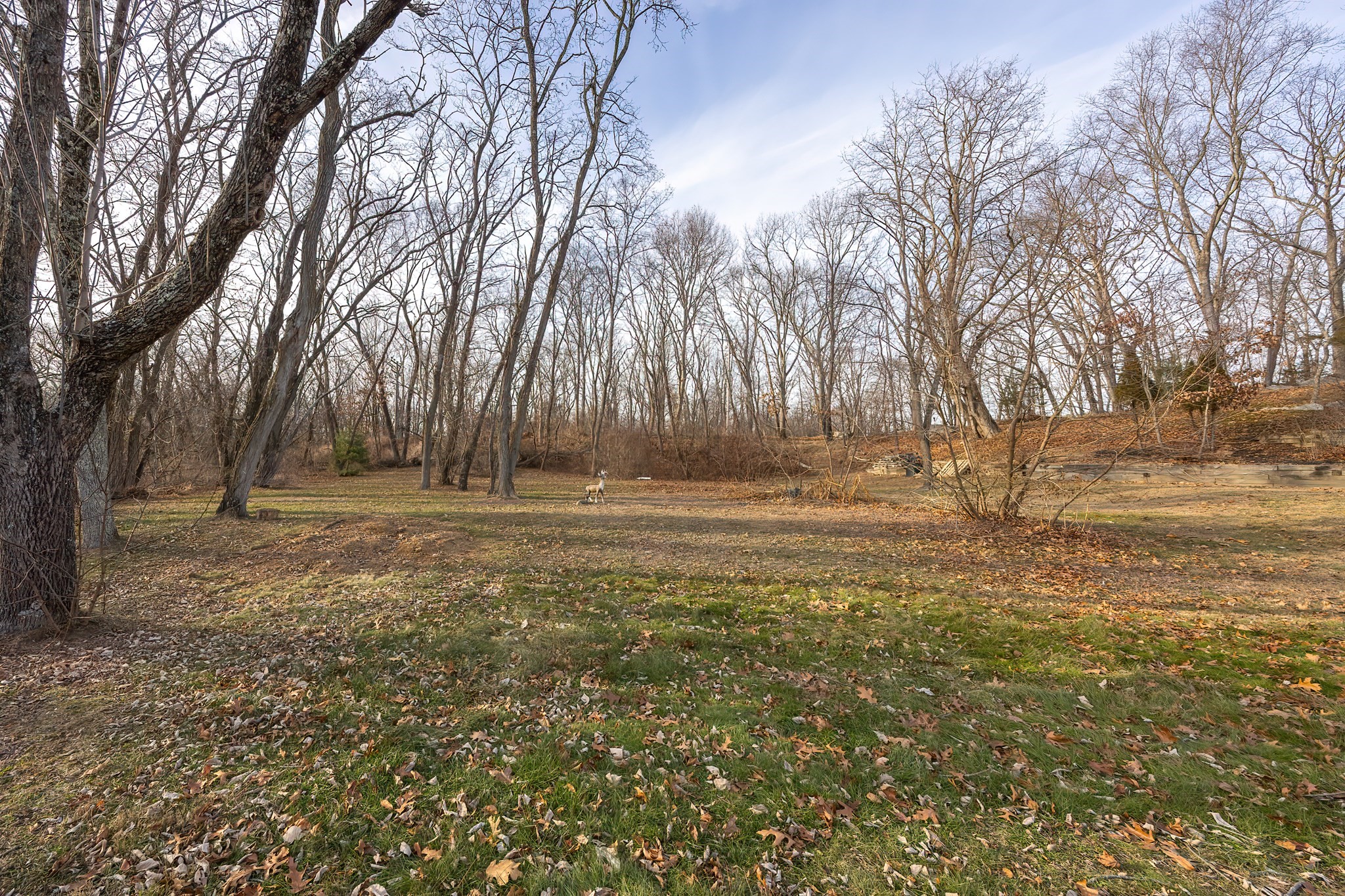 1123 County St, Attleboro, MA 02703 - Image 20