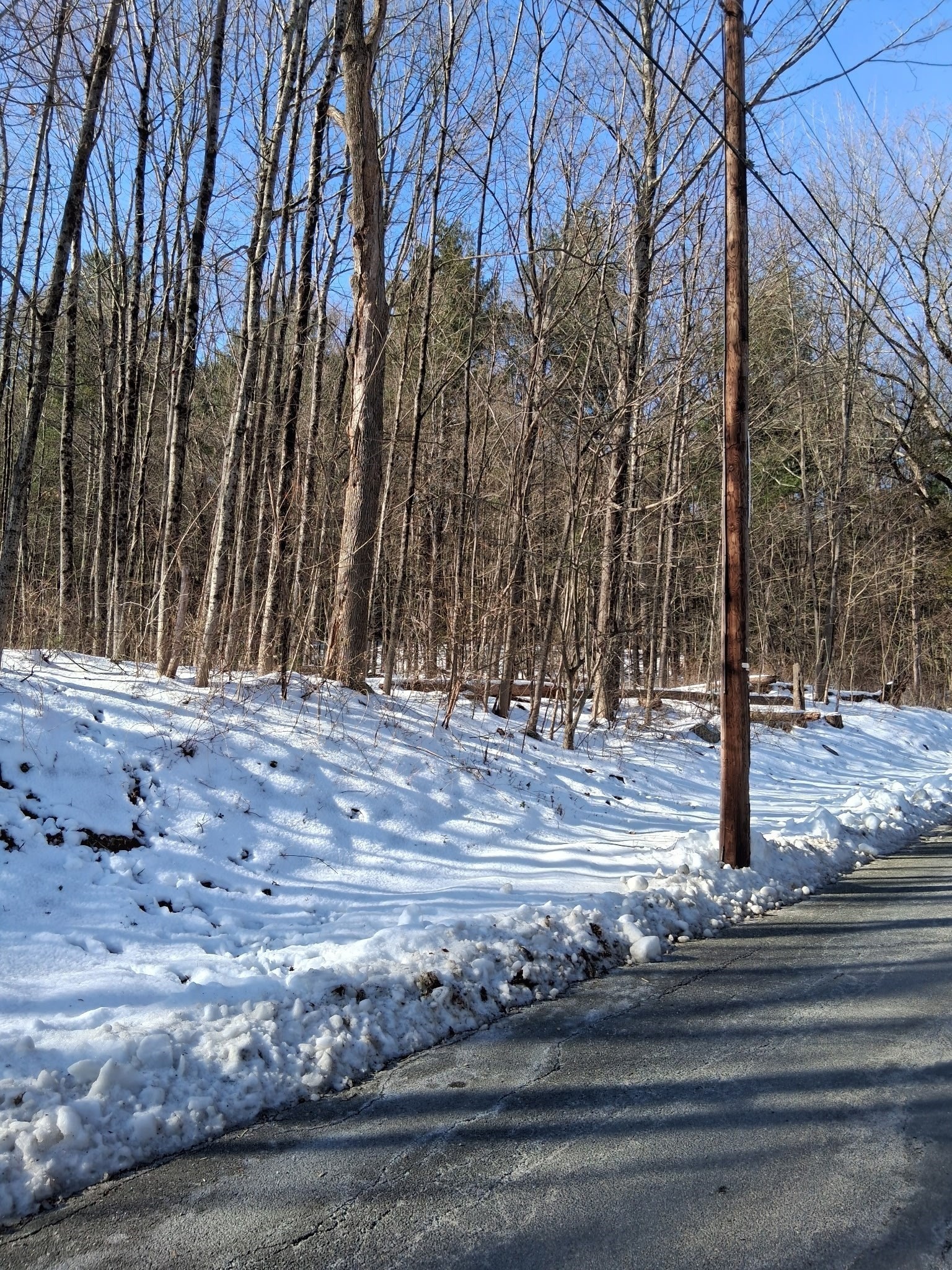 17 Maple St, Southampton, MA 01073 - Image 11