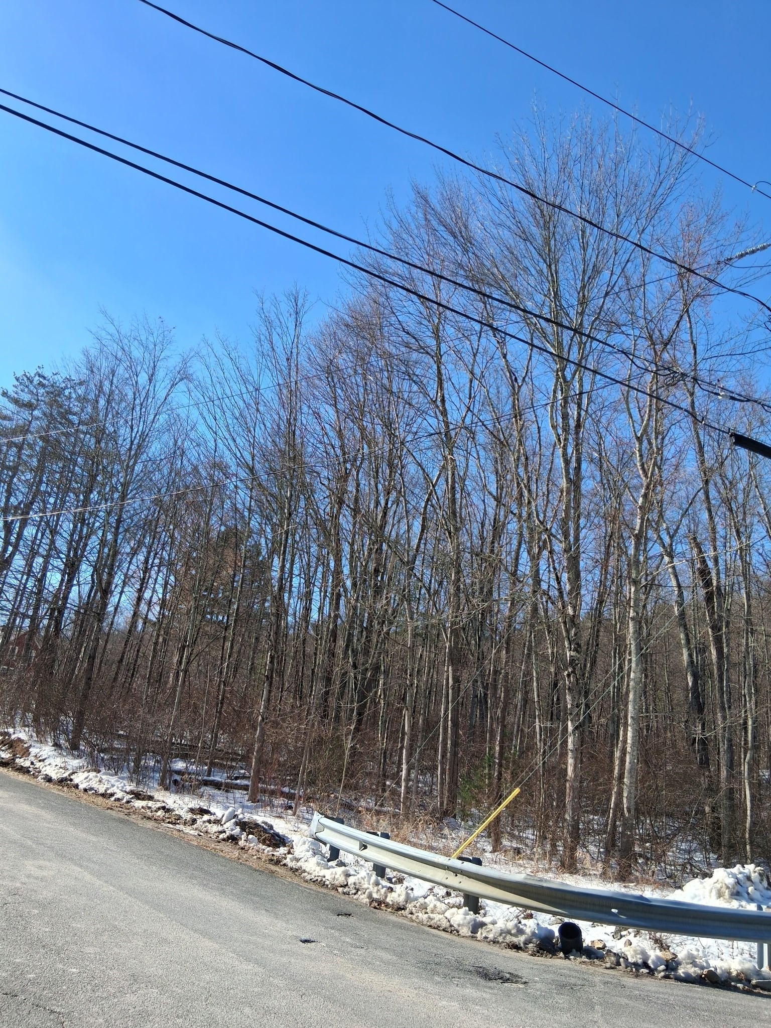 17 Maple St, Southampton, MA 01073 - Image 12