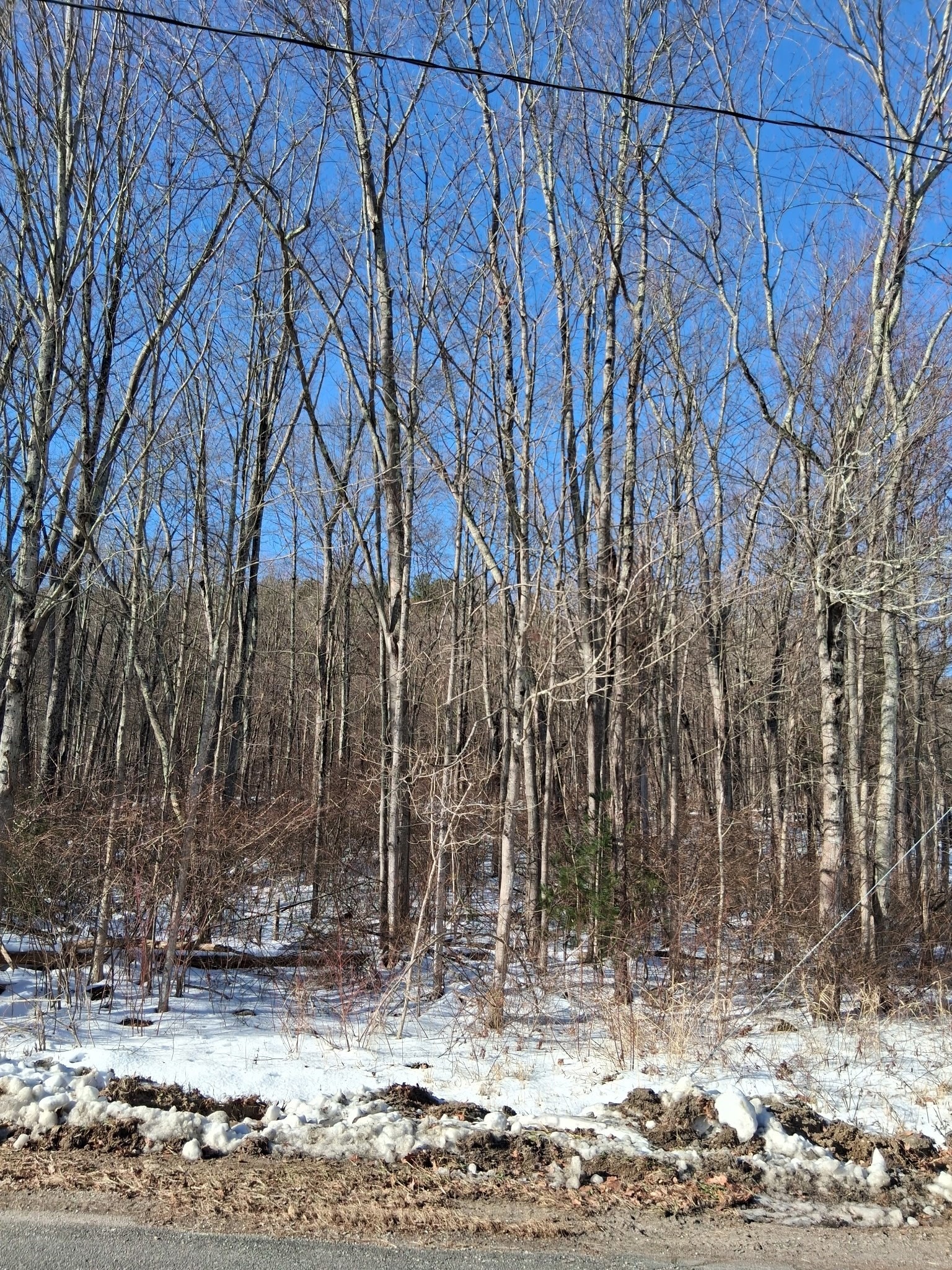 17 Maple St, Southampton, MA 01073 - Image 13