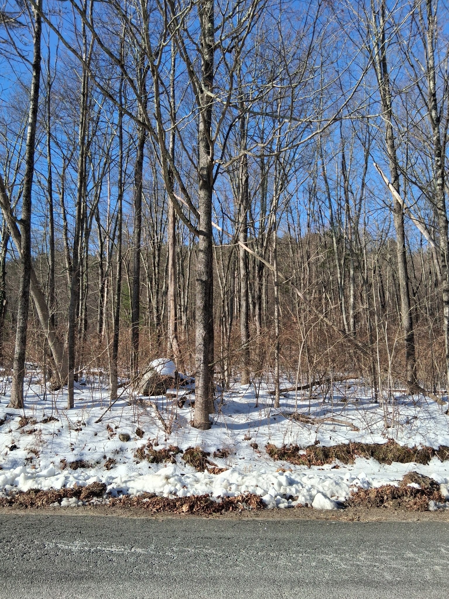 17 Maple St, Southampton, MA 01073 - Image 14