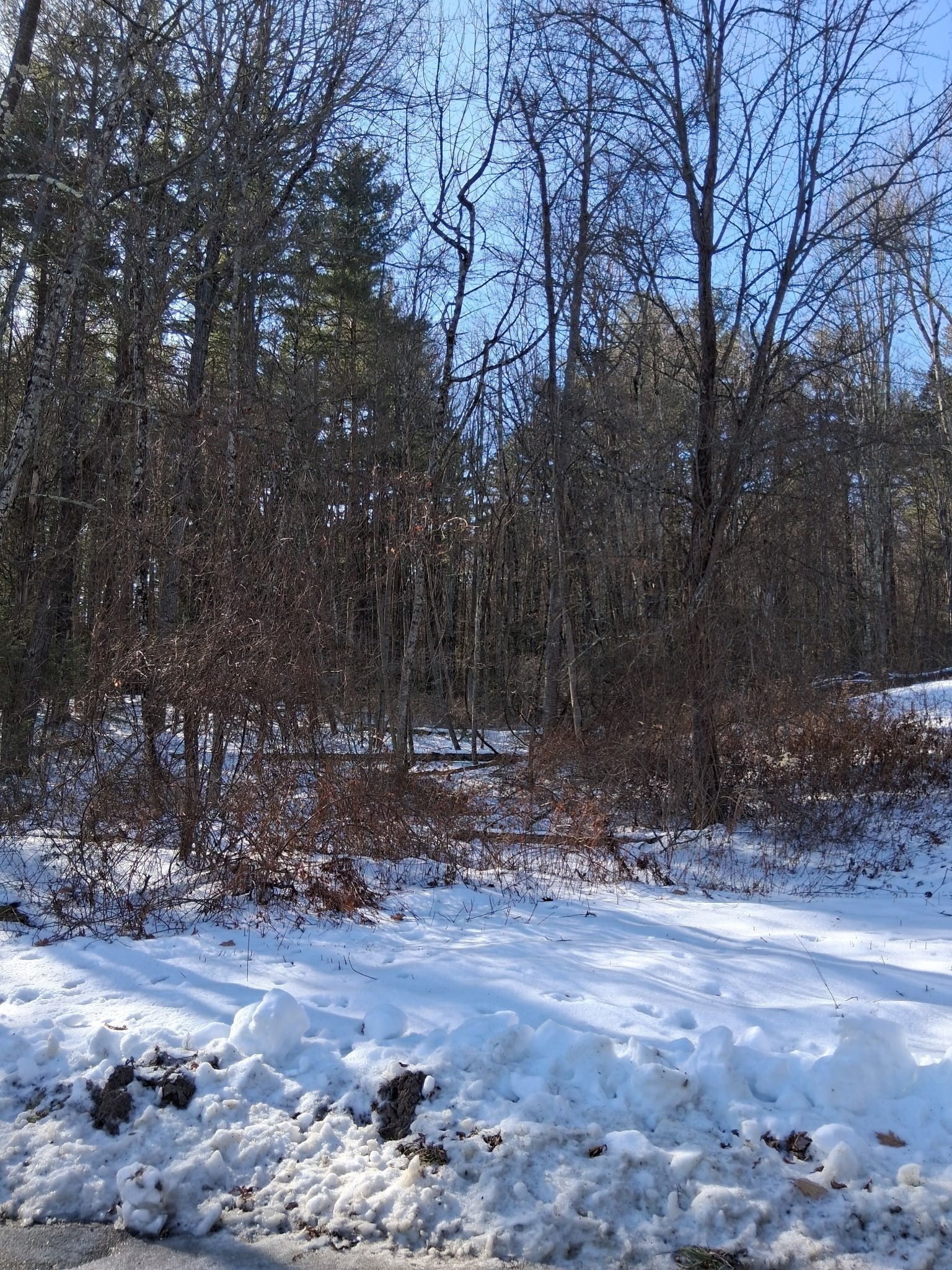 17 Maple St, Southampton, MA 01073 - Image 4