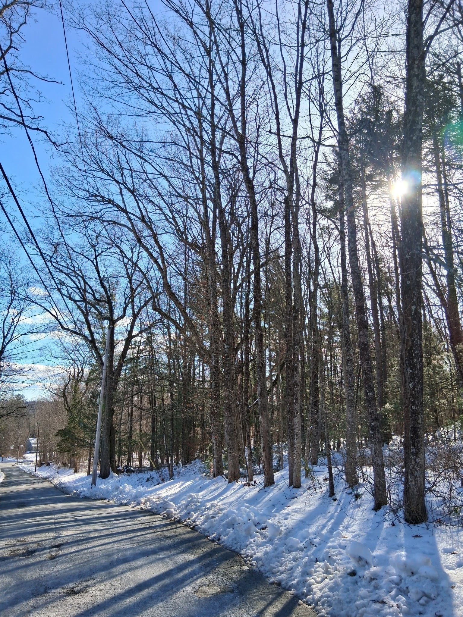 17 Maple St, Southampton, MA 01073 - Image 5