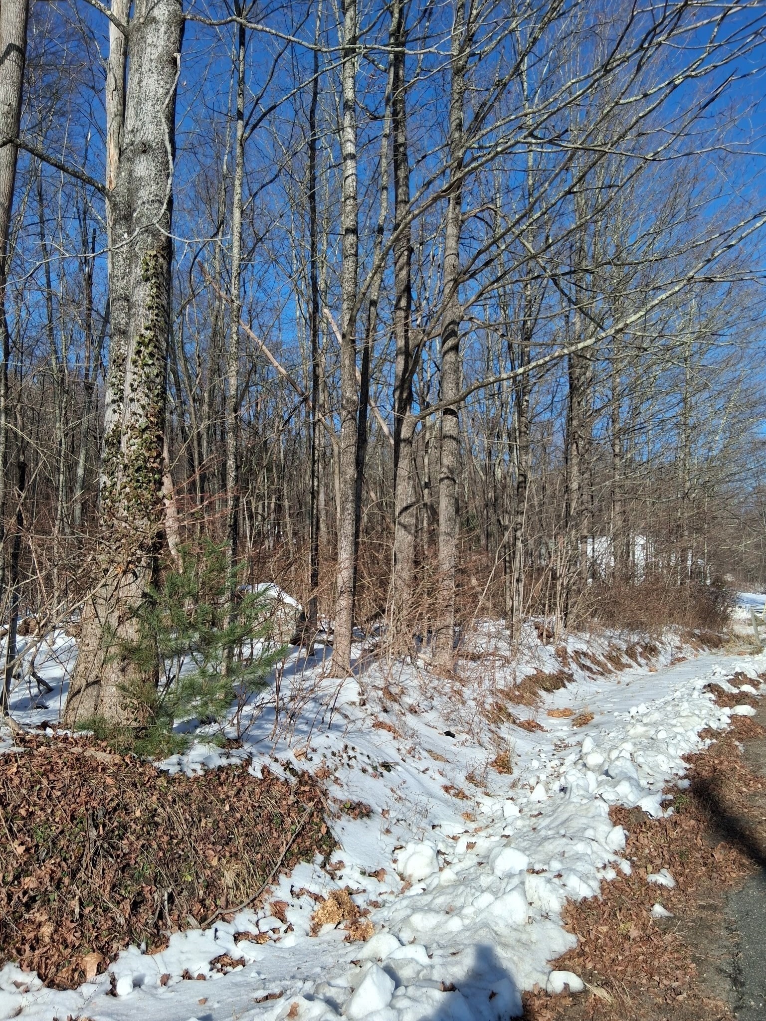 17 Maple St, Southampton, MA 01073 - Image 6