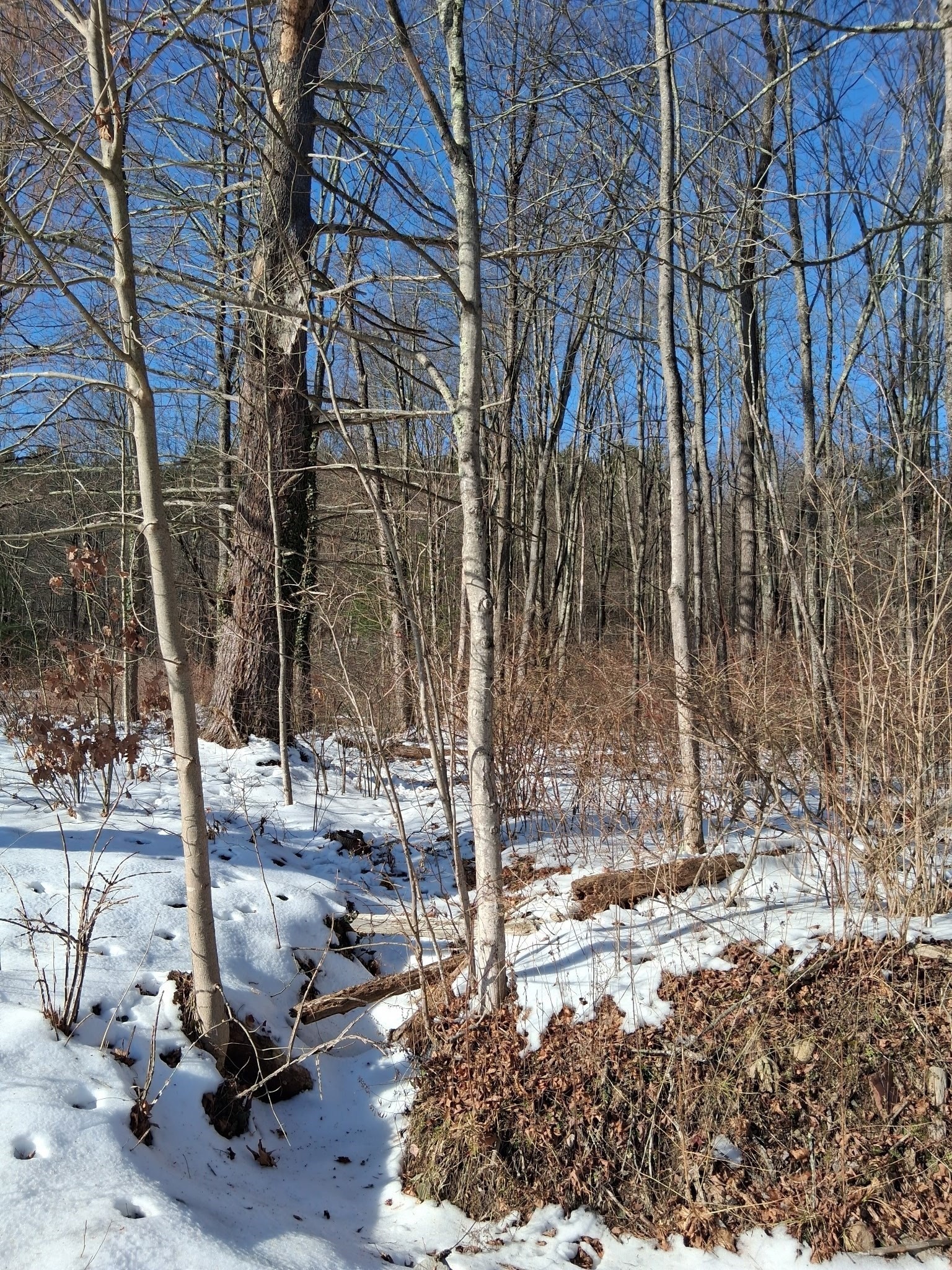 17 Maple St, Southampton, MA 01073 - Image 7