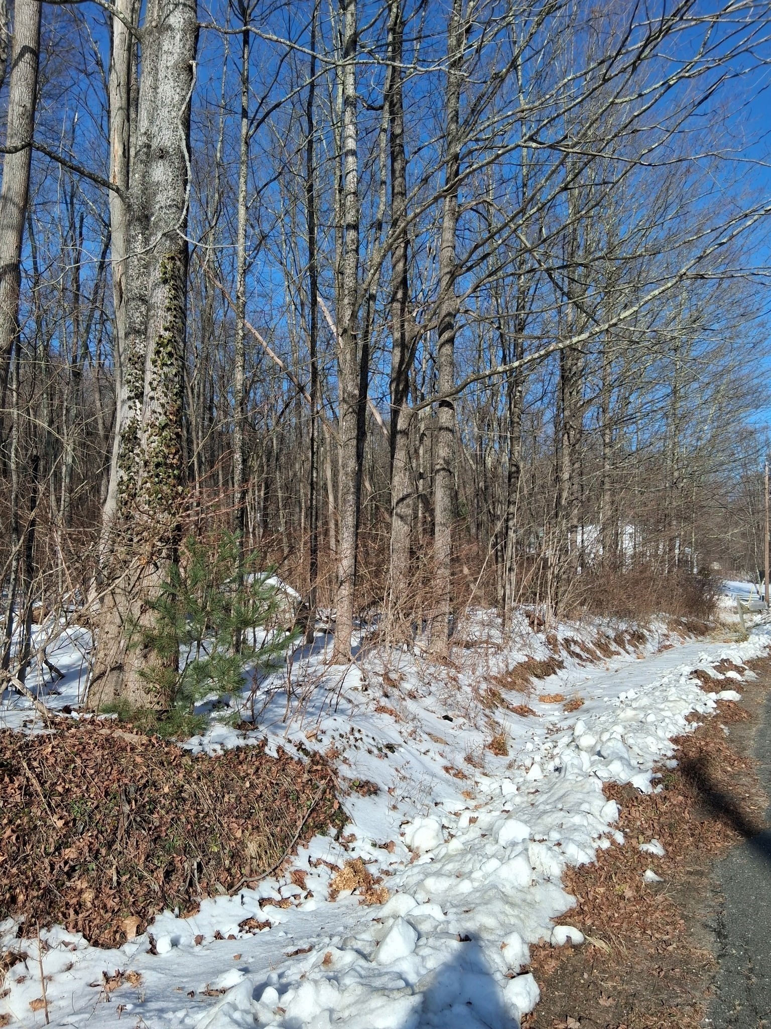 17 Maple St, Southampton, MA 01073 - Image 8