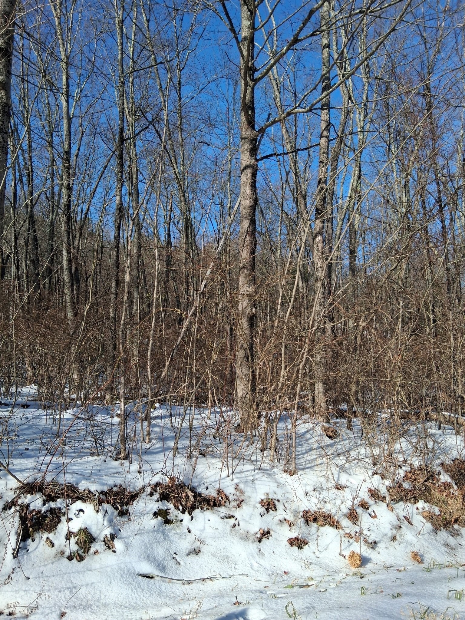 17 Maple St, Southampton, MA 01073 - Image 9