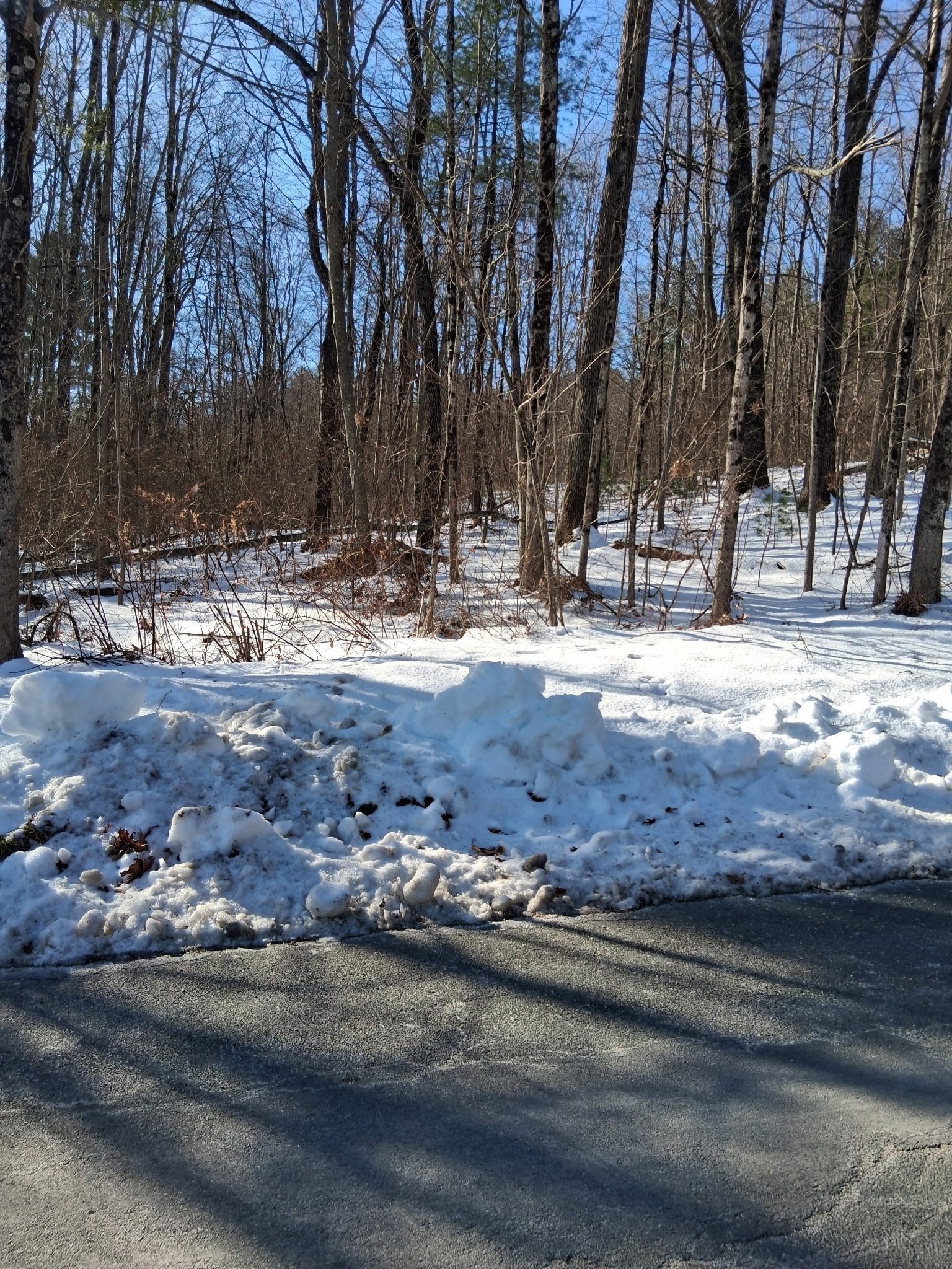 17 Maple St, Southampton, MA 01073 - Image 10