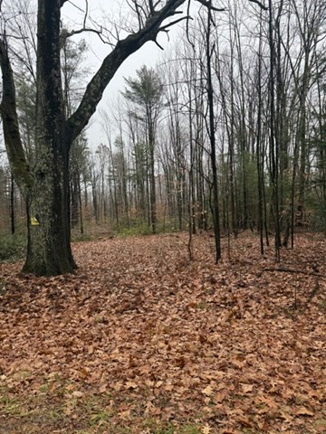 0 Wendell  Depot Rd, Wendell, MA 01379