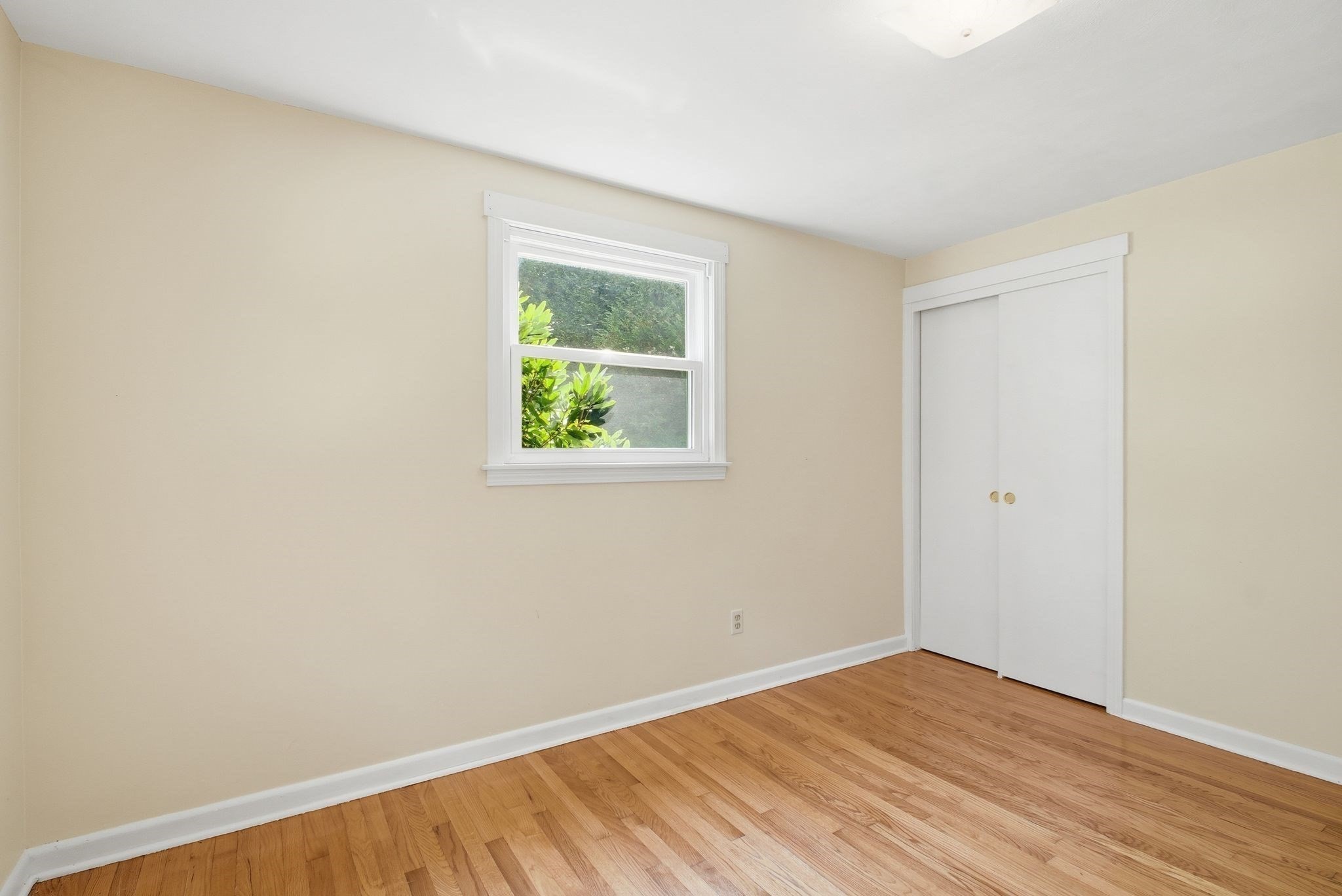 60 Jeanne Marie St, Springfield, MA 01129 - Image 16