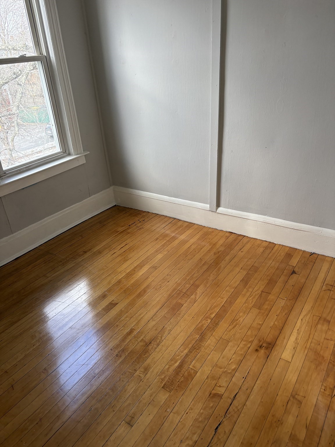 797 Carew St, Springfield, MA 01104 - Image 13