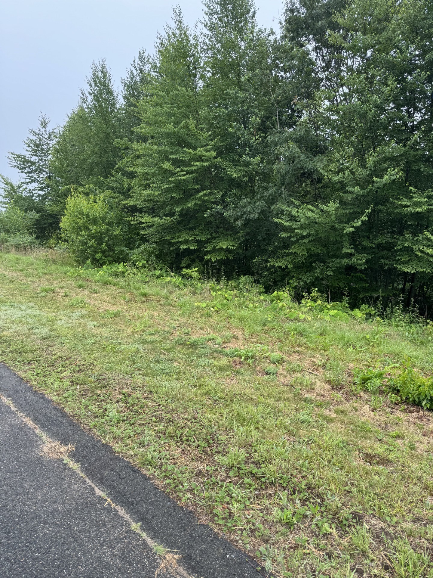 225 Spring Hill, Belchertown, MA 01007 - Image 3