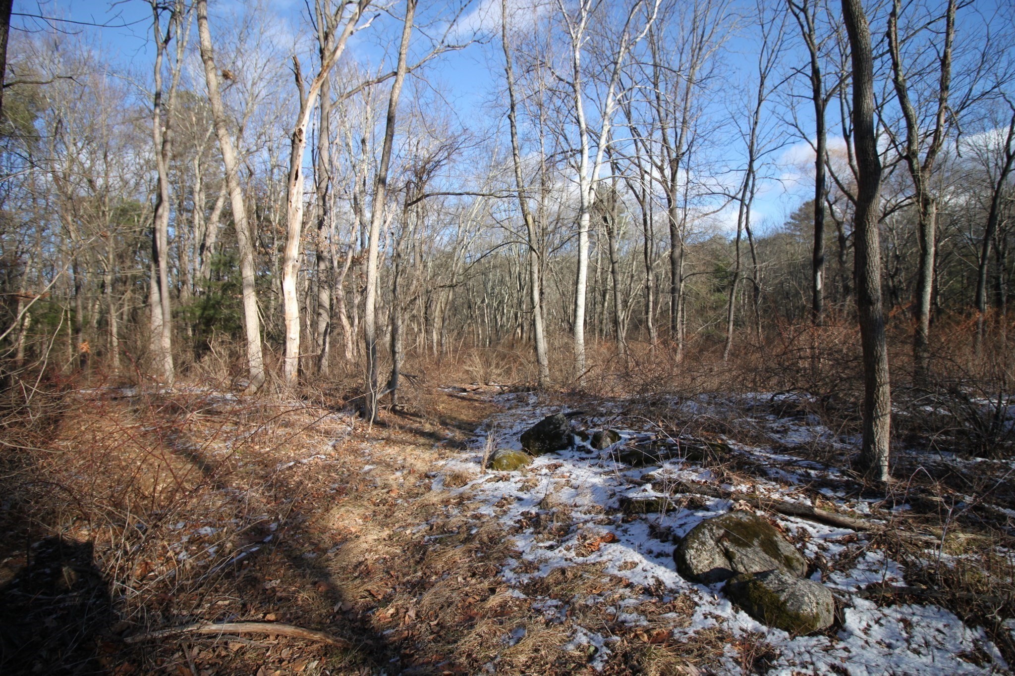 46 Taylor Road, Acton, MA 01720 - Image 23