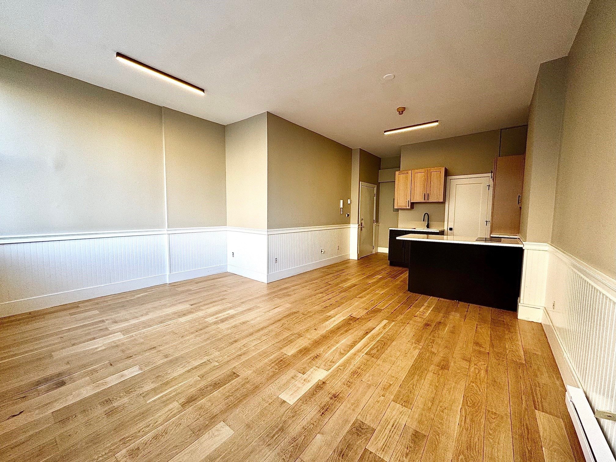 528 Tremont Unit 2A, South End, Boston, MA 02116 - Image 3