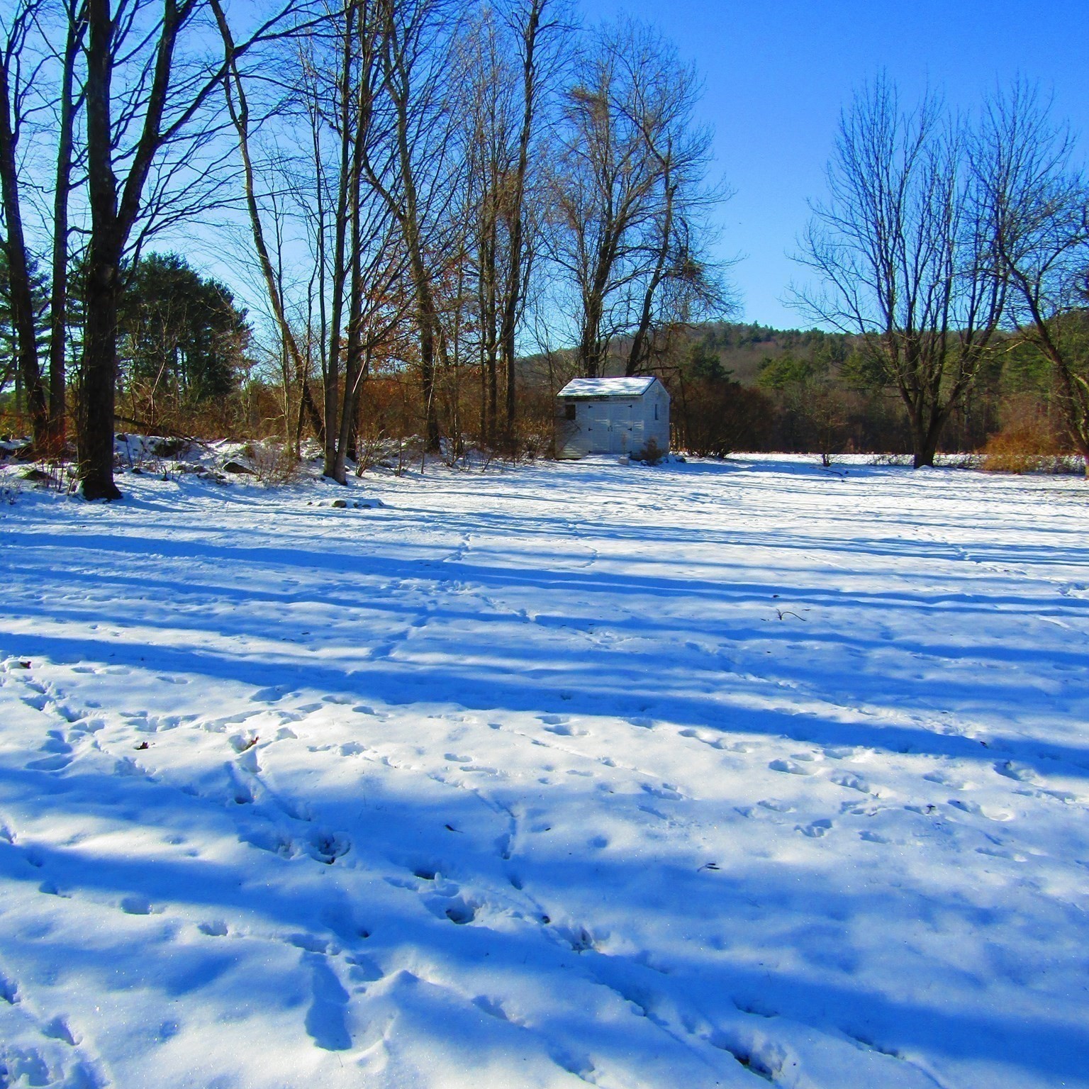 214 Audubon Road, Northampton, MA 01053 - Image 24