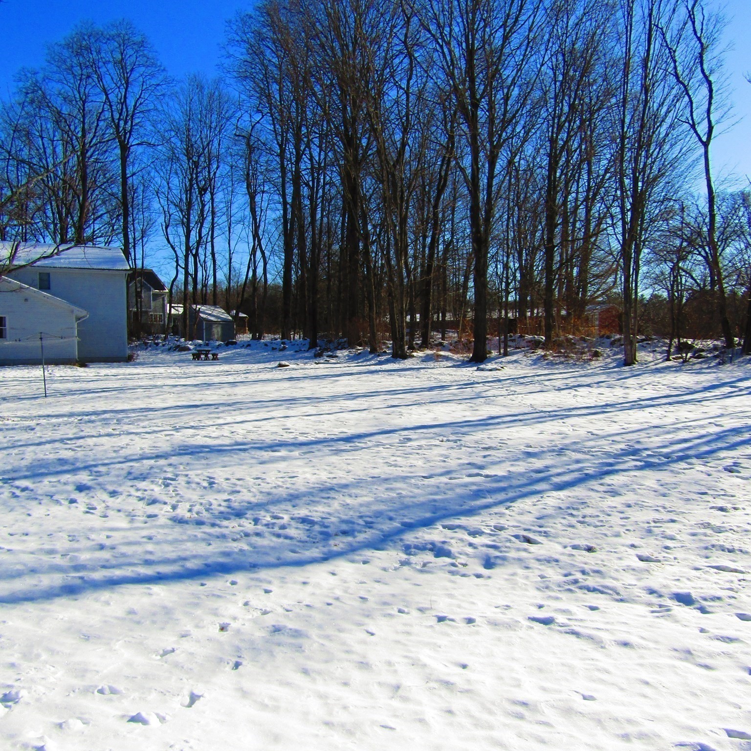 214 Audubon Road, Northampton, MA 01053 - Image 25