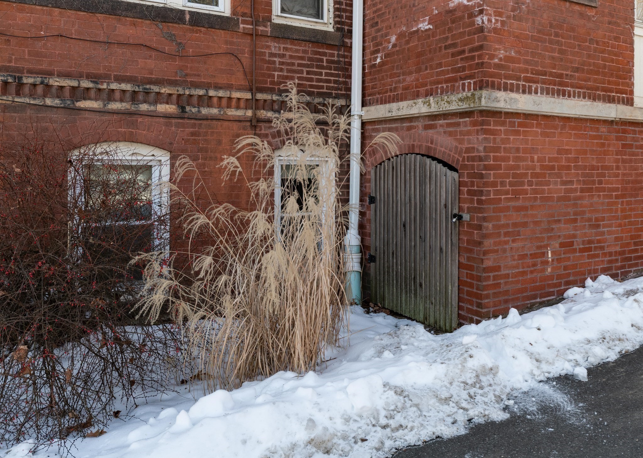 61 Crescent St Unit 7, Northampton, MA 01060 - Image 17