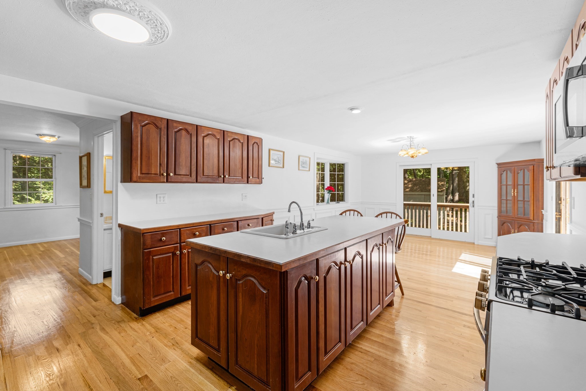 456 Gorwin Drive, Hanson, MA 02341 - Image 13