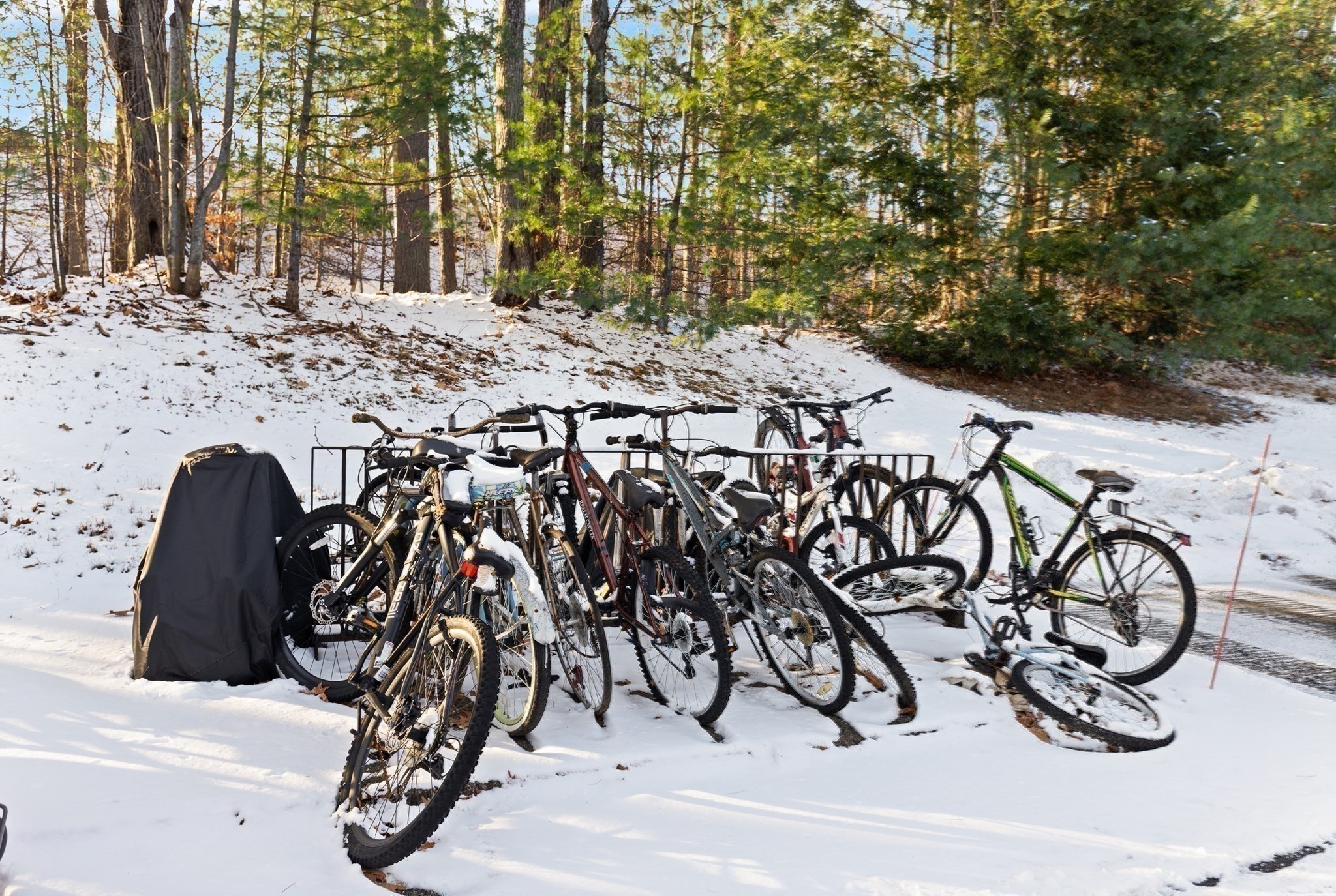 390 Great Rd Unit B16, Acton, MA 01720 - Image 29