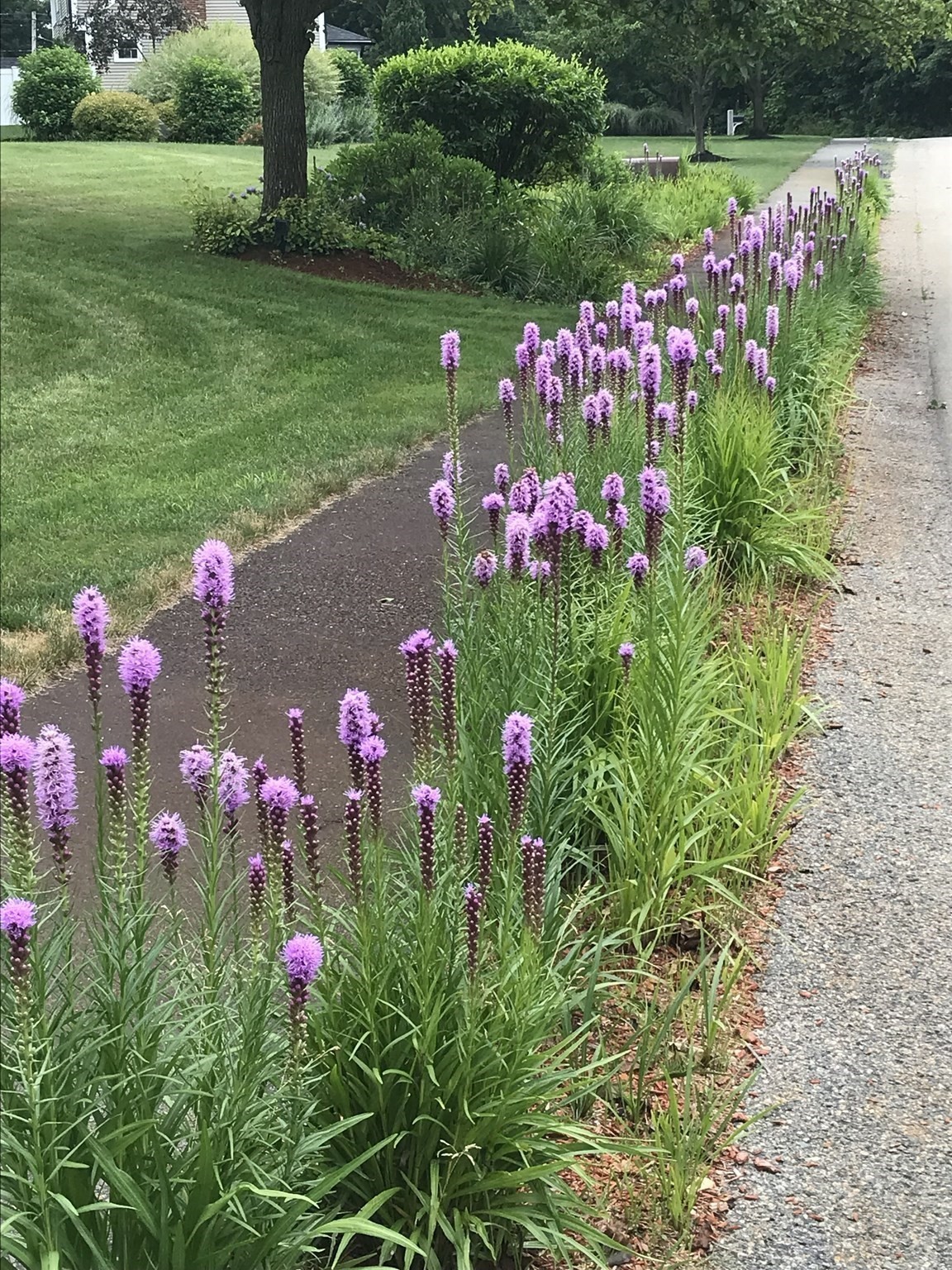 10 Proudfoot Way, Hanson, MA 02341 - Image 30