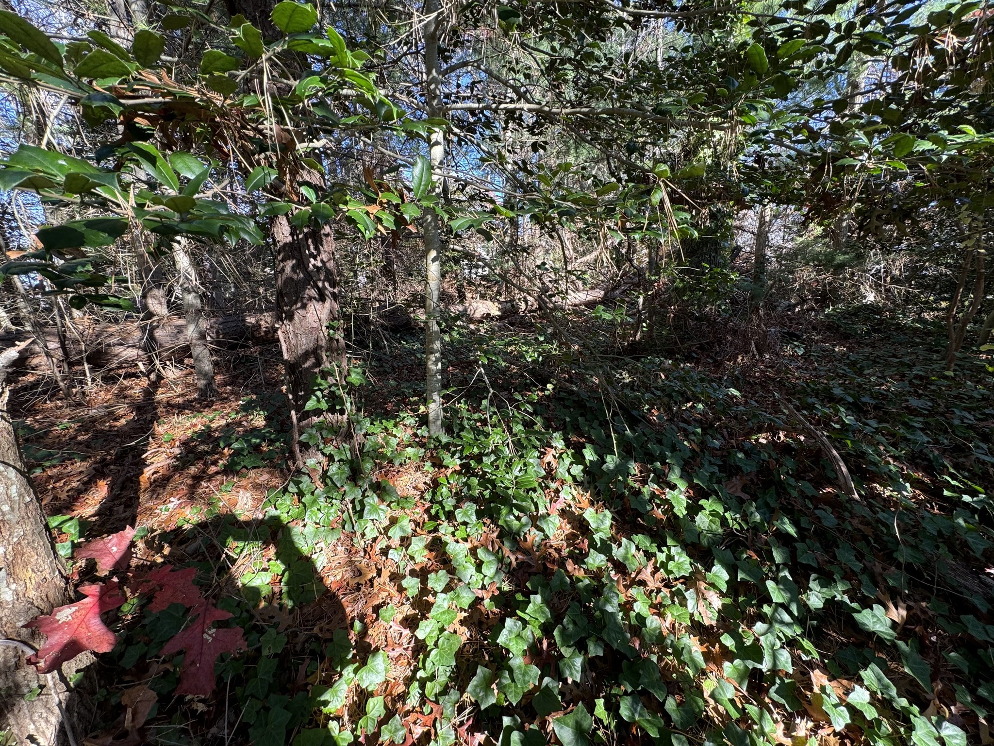 60 Richards Lane, Barnstable, MA 02632 - Image 14