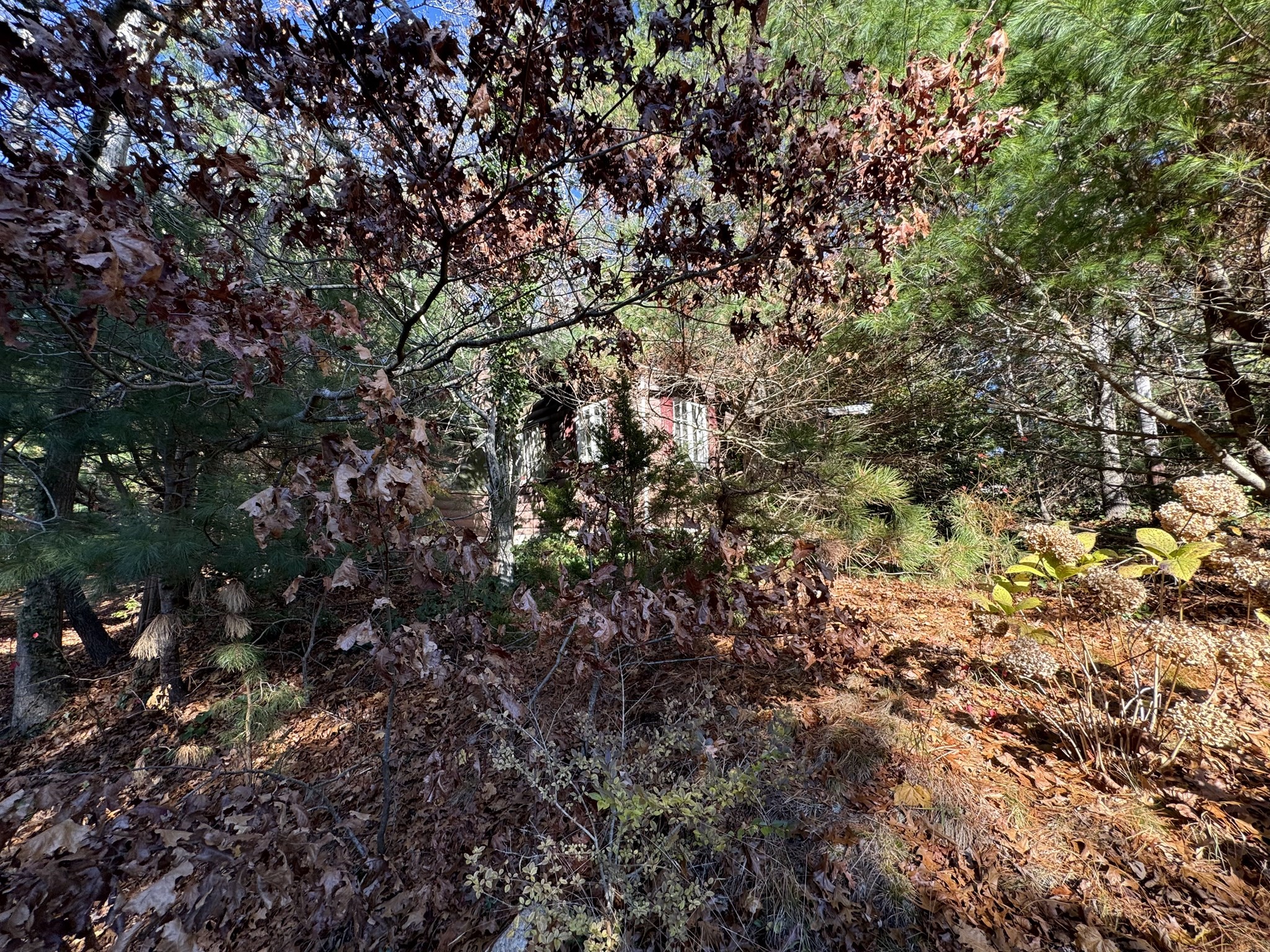 60 Richards Lane, Barnstable, MA 02632 - Image 3