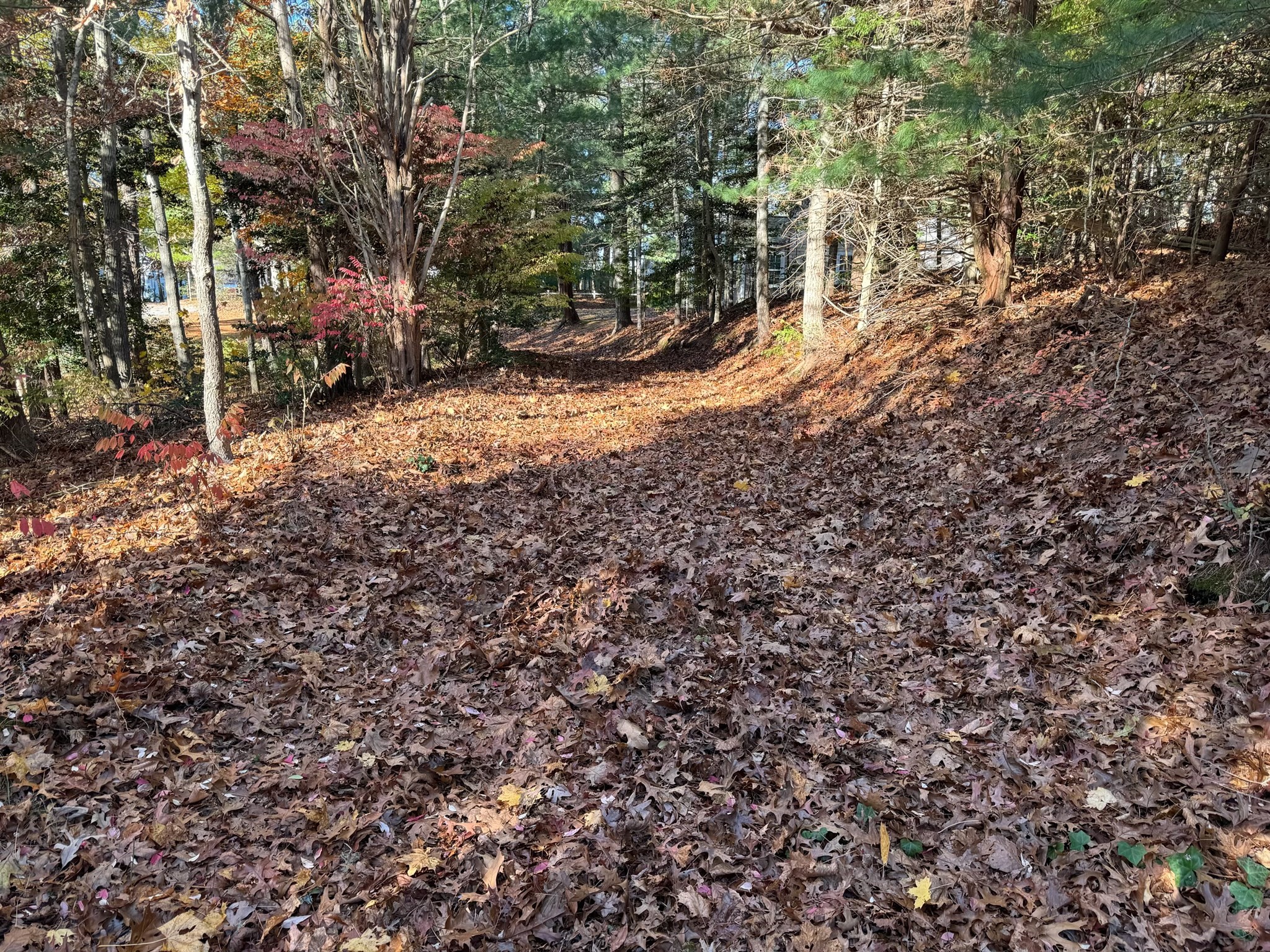 60 Richards Lane, Barnstable, MA 02632 - Image 5