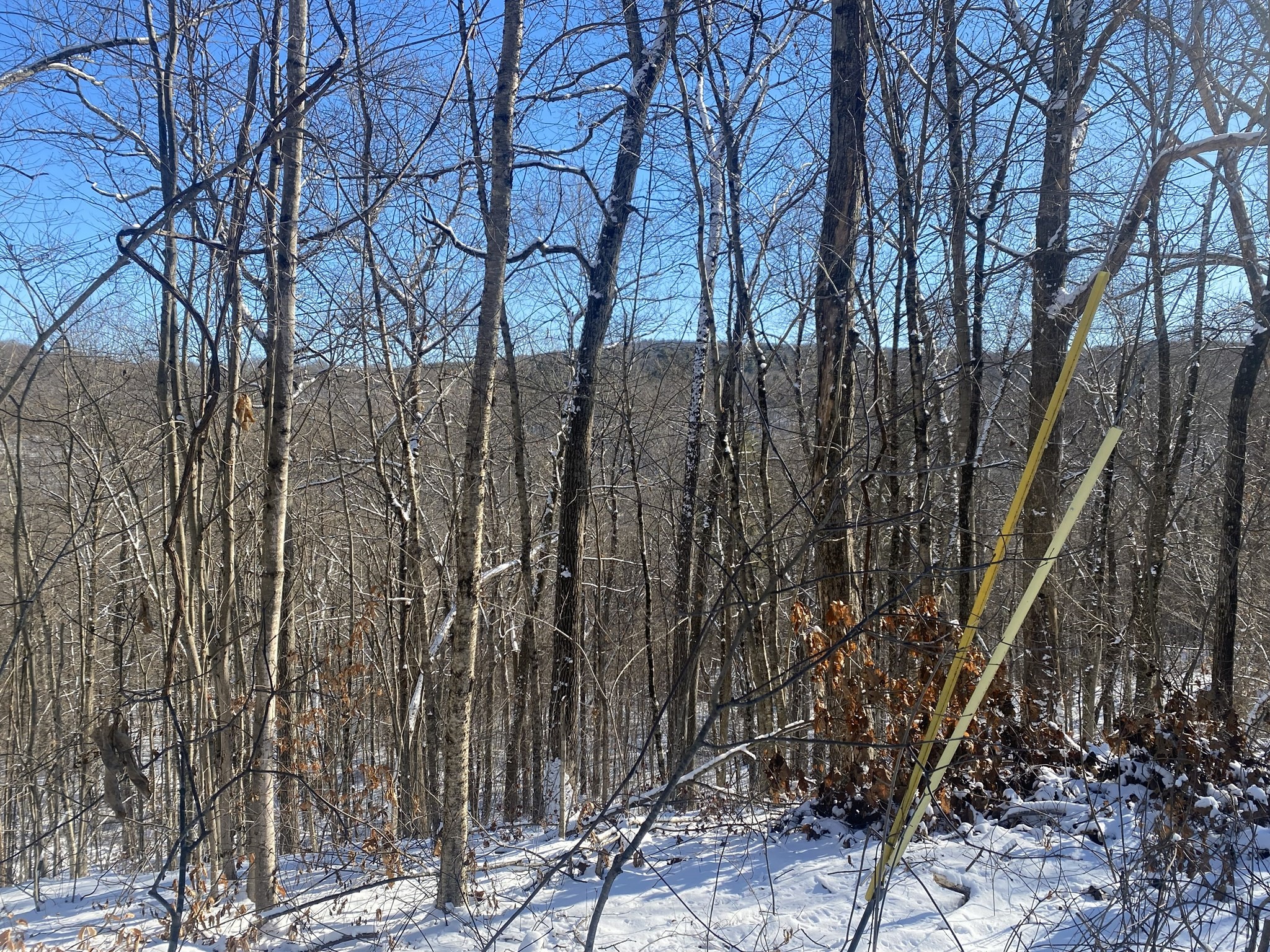 593 Old Warren Road, Palmer, MA 01069 - Image 2