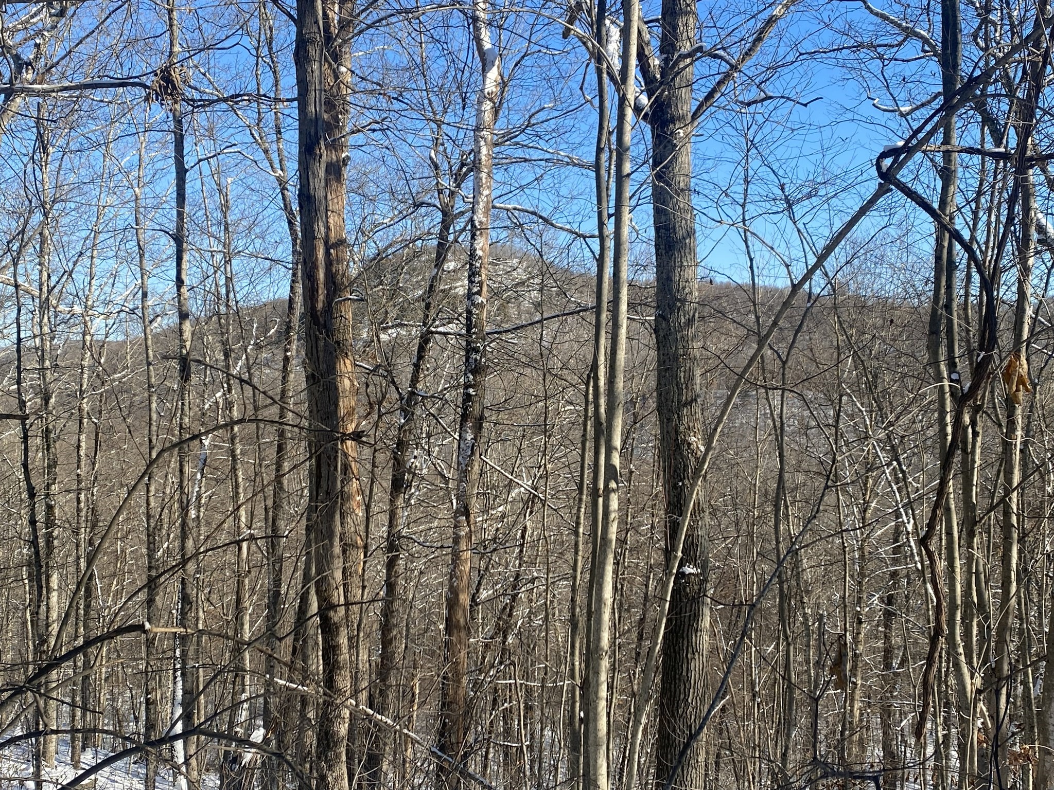 593 Old Warren Road, Palmer, MA 01069 - Image 3