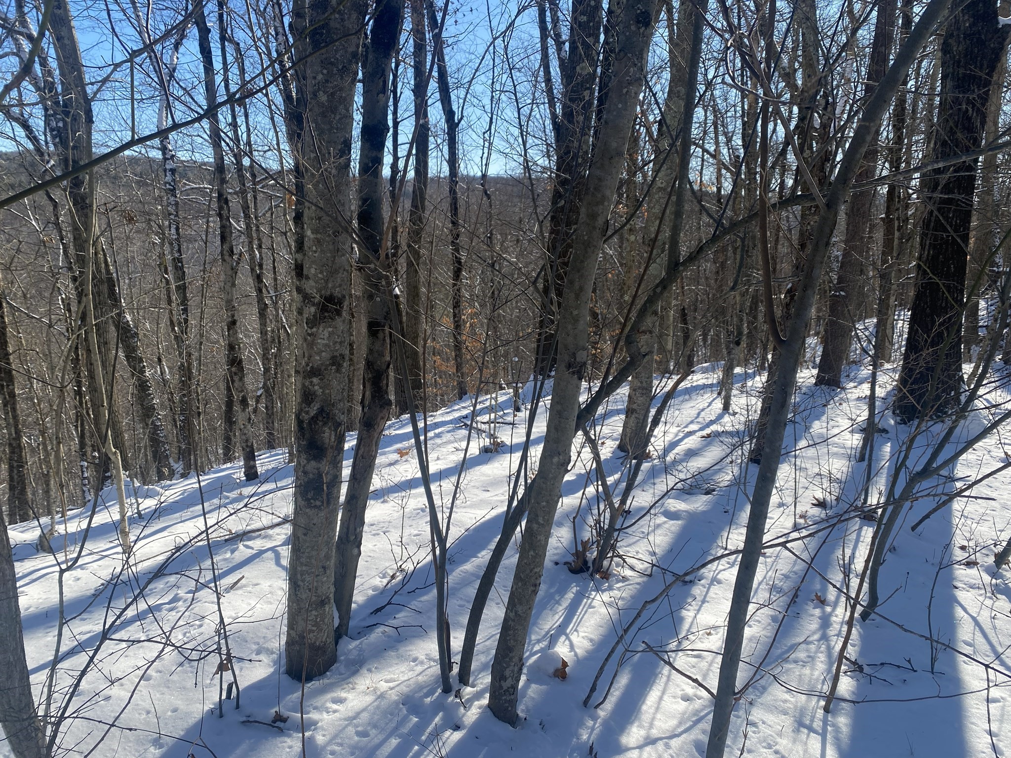 593 Old Warren Road, Palmer, MA 01069 - Image 4