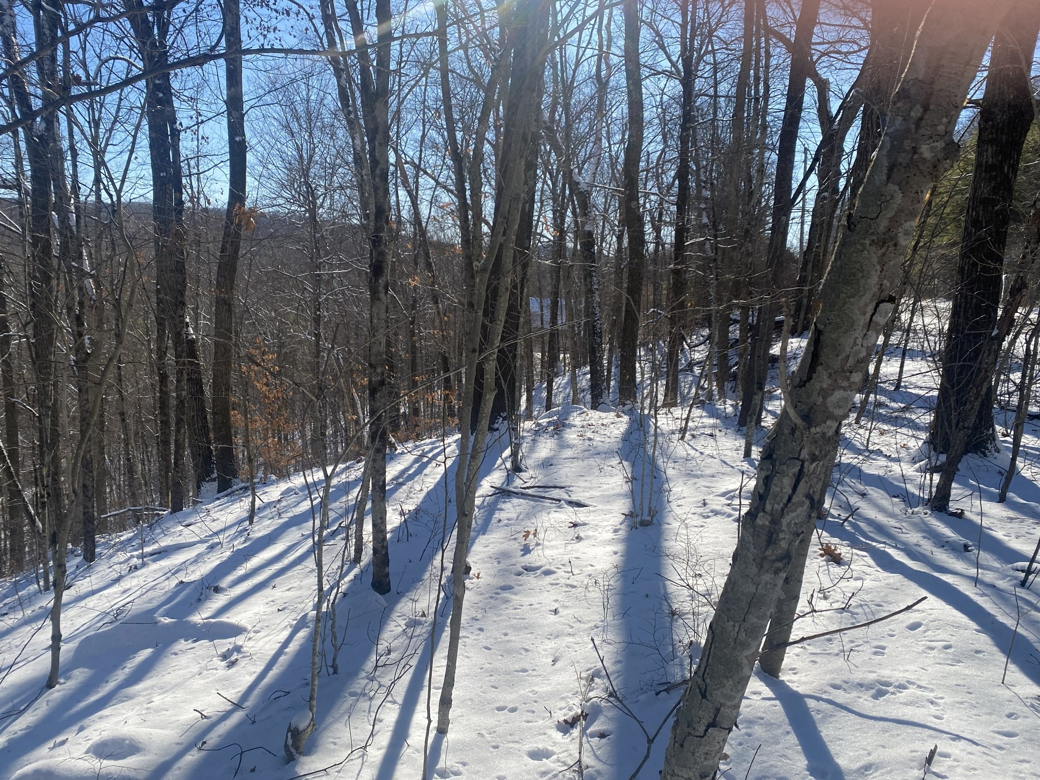 593 Old Warren Road, Palmer, MA 01069 - Image 5