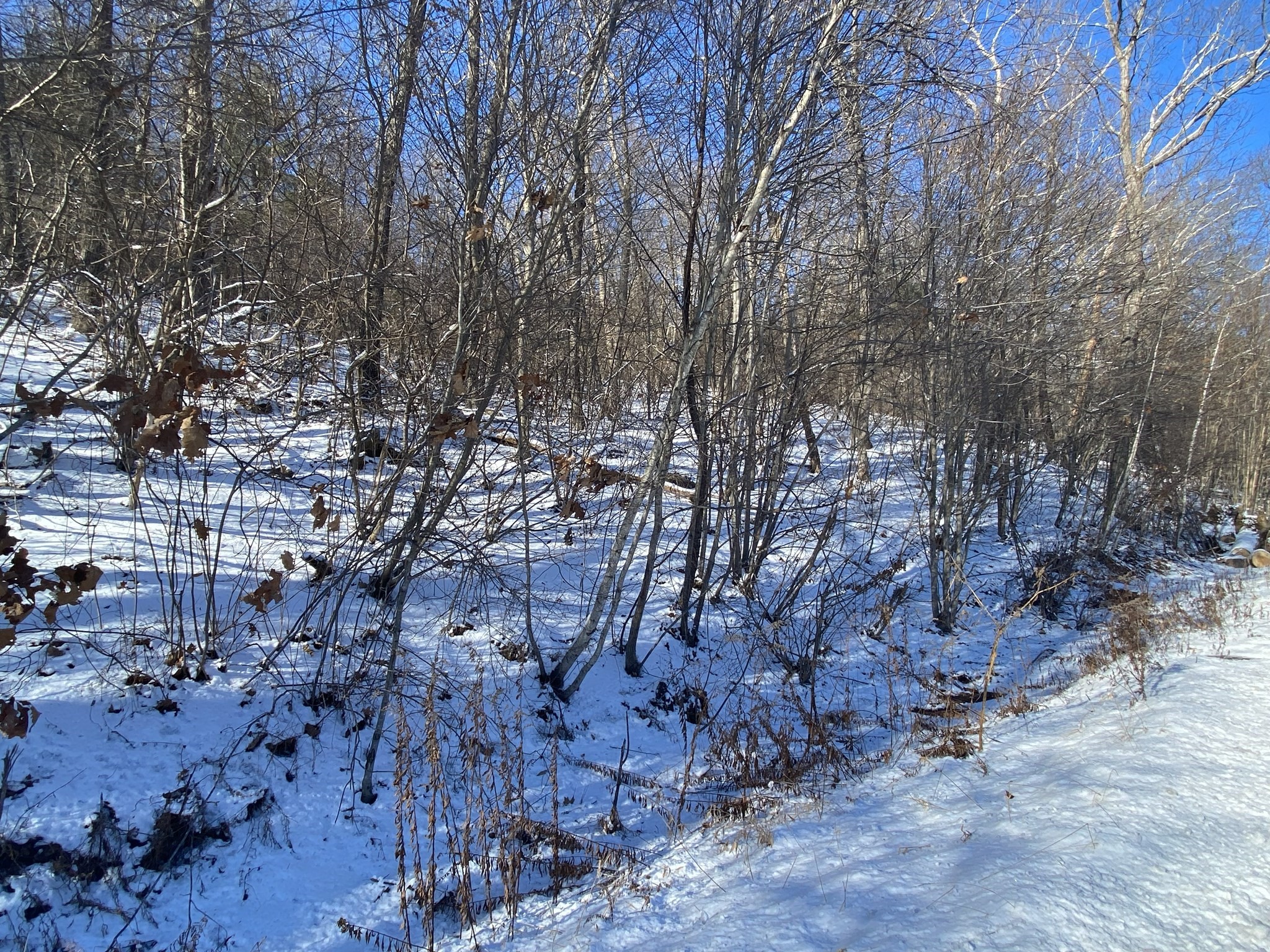 593 Old Warren Road, Palmer, MA 01069 - Image 6