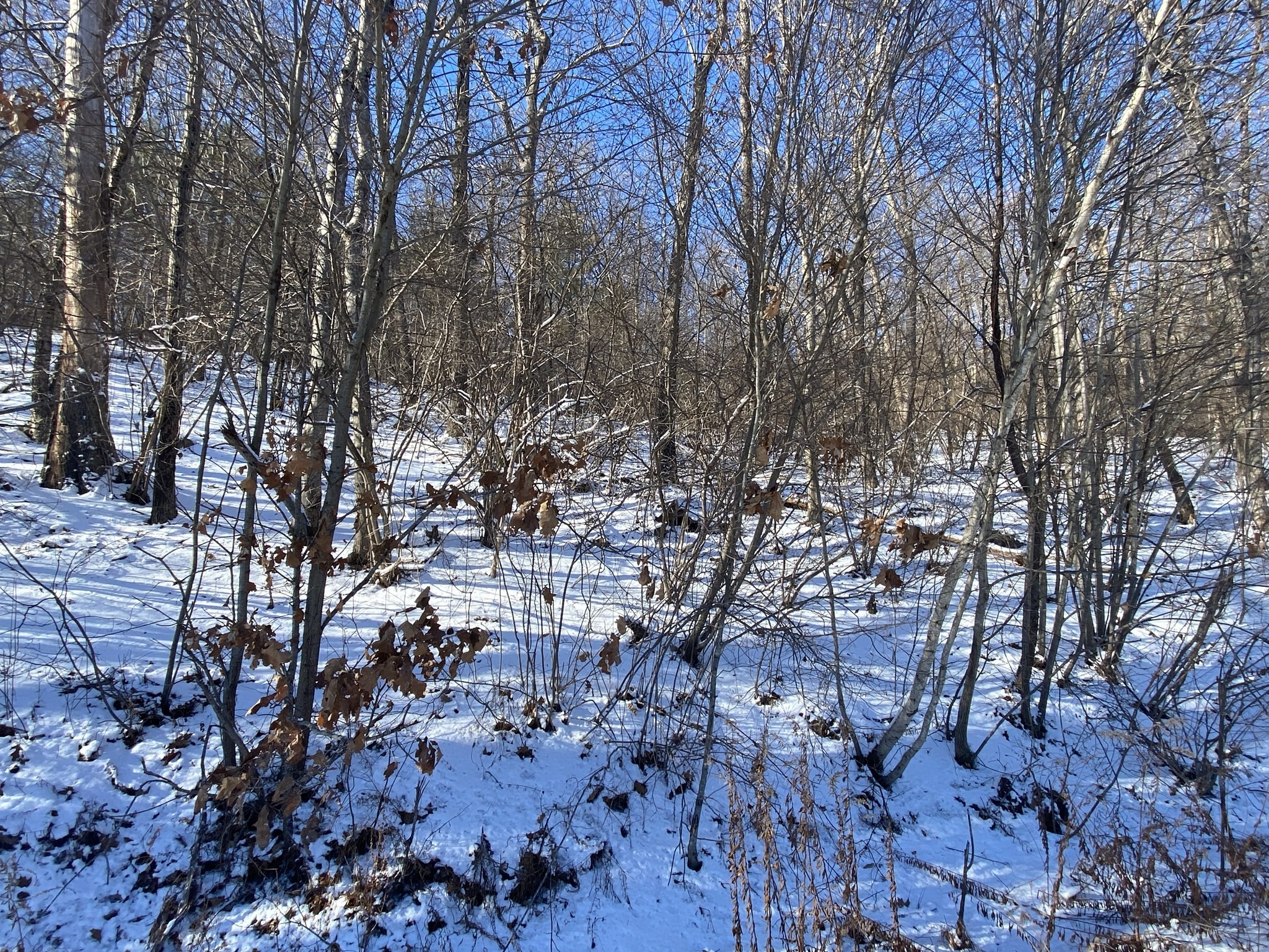 593 Old Warren Road, Palmer, MA 01069 - Image 7