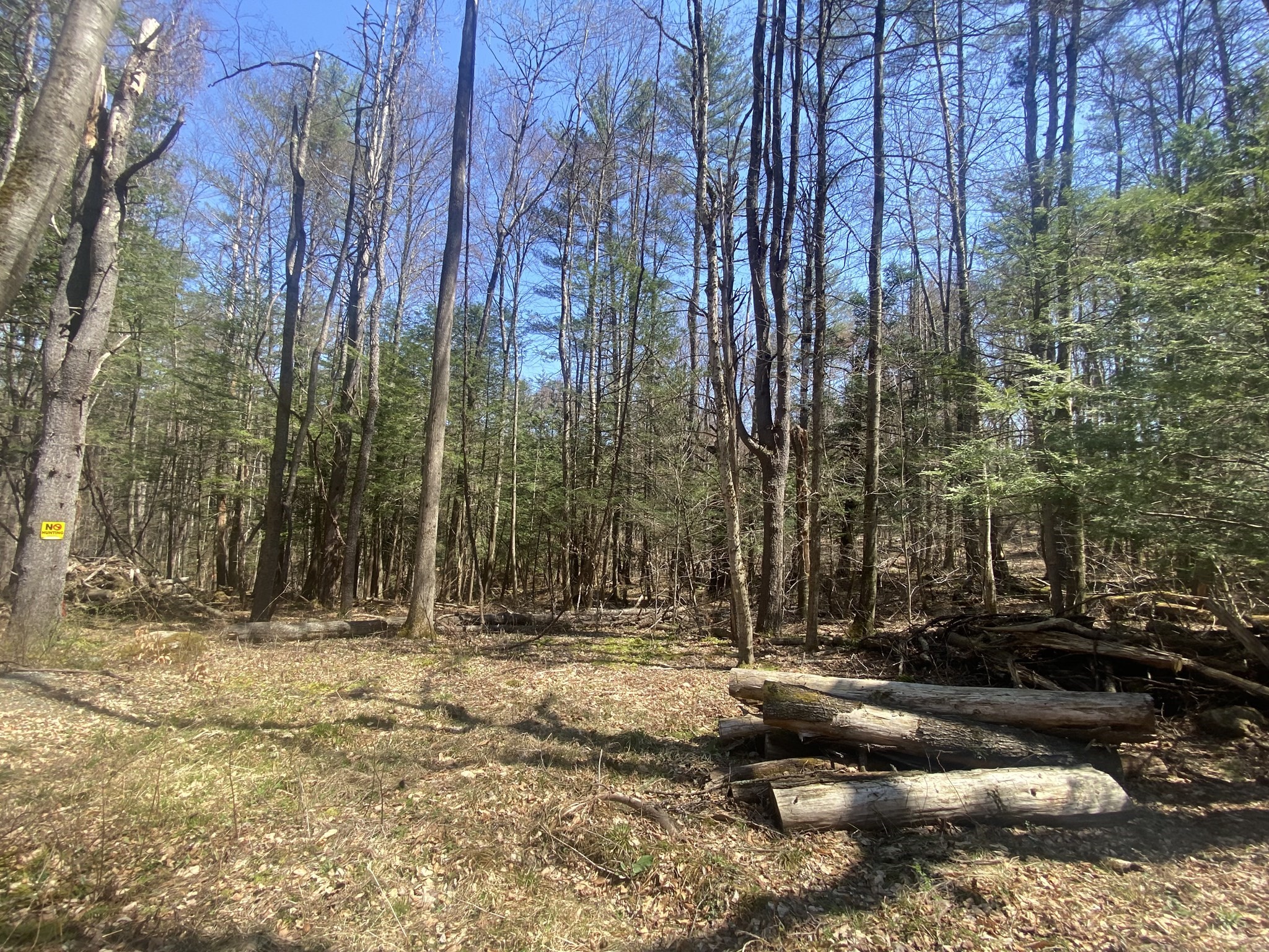 0 Schaefer Way, Charlemont, MA 01339 - Image 12