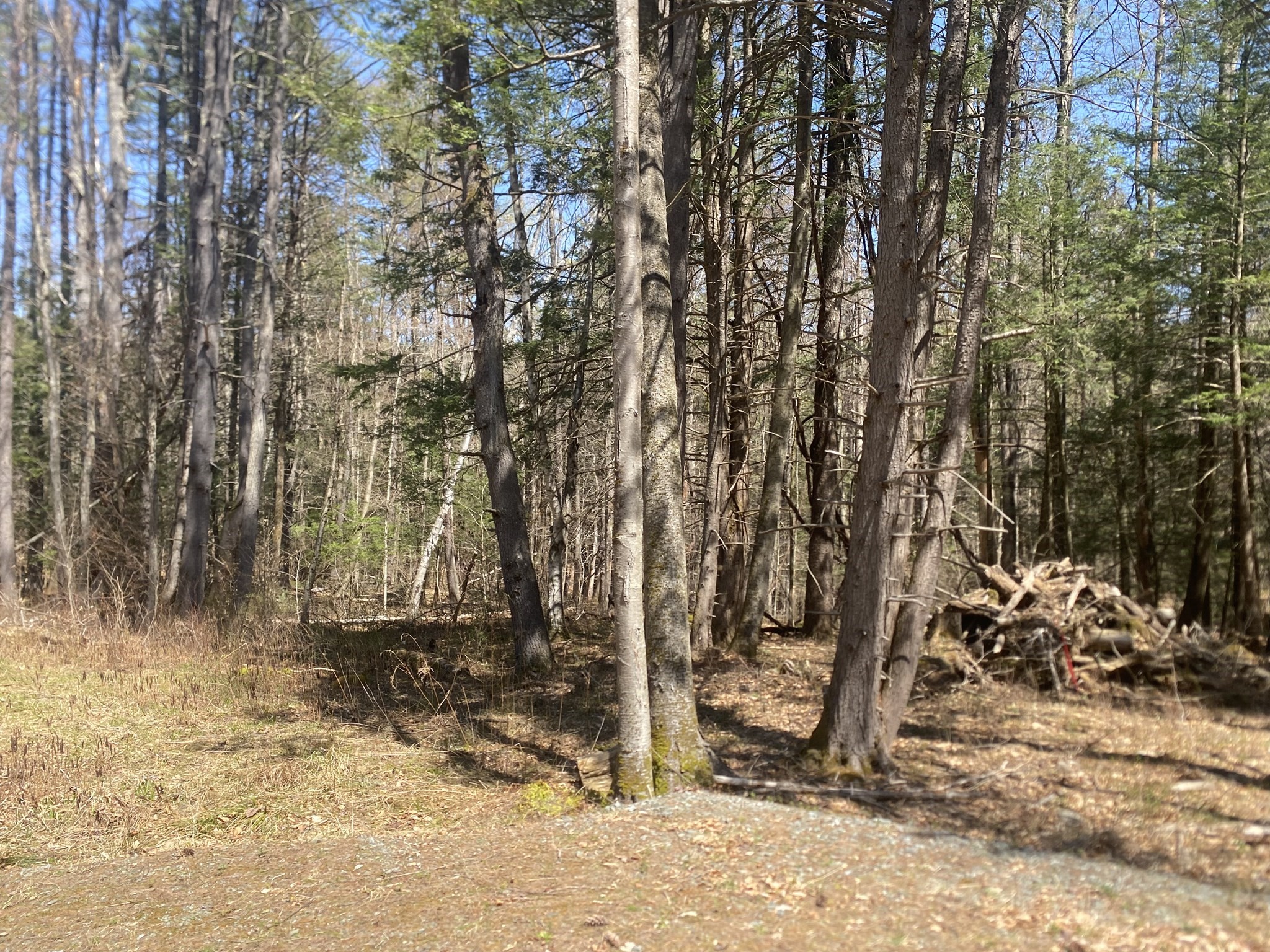 0 Schaefer Way, Charlemont, MA 01339 - Image 15