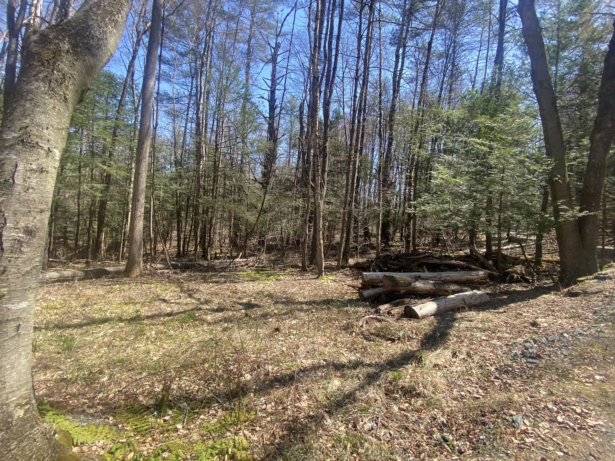 0 Schaefer Way, Charlemont, MA 01339 - Image 3